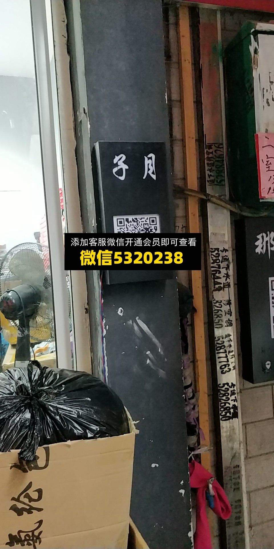 子月