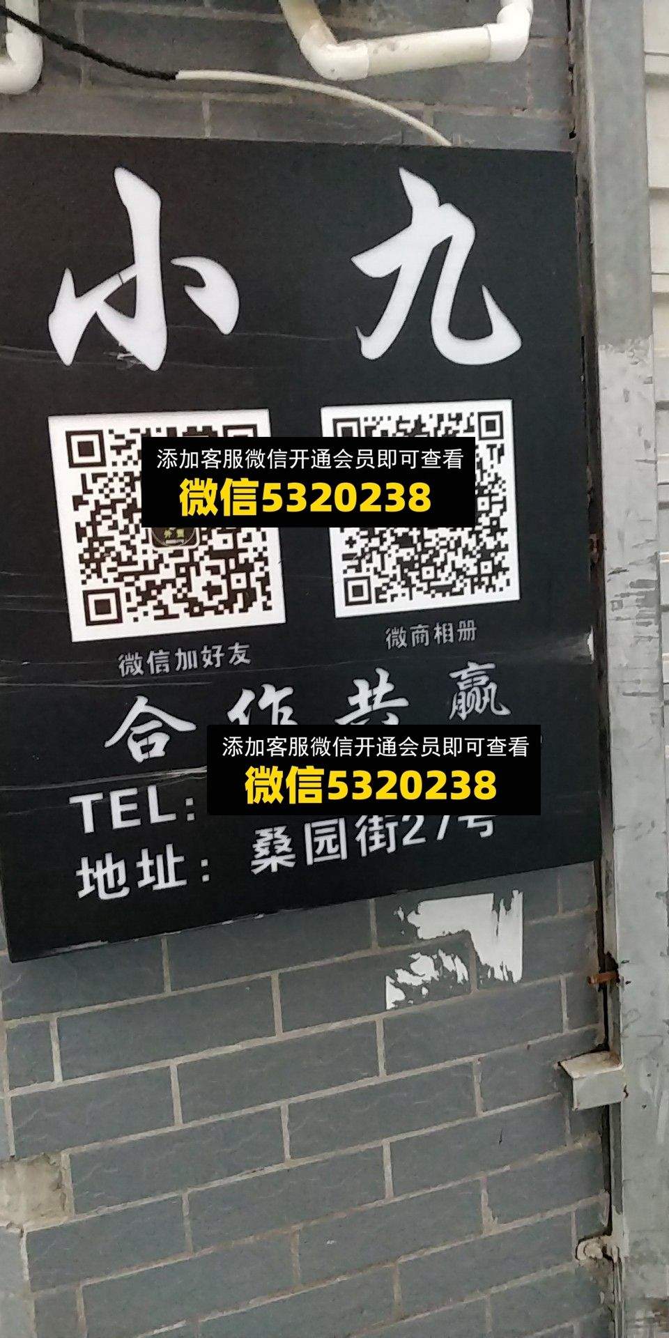 小九