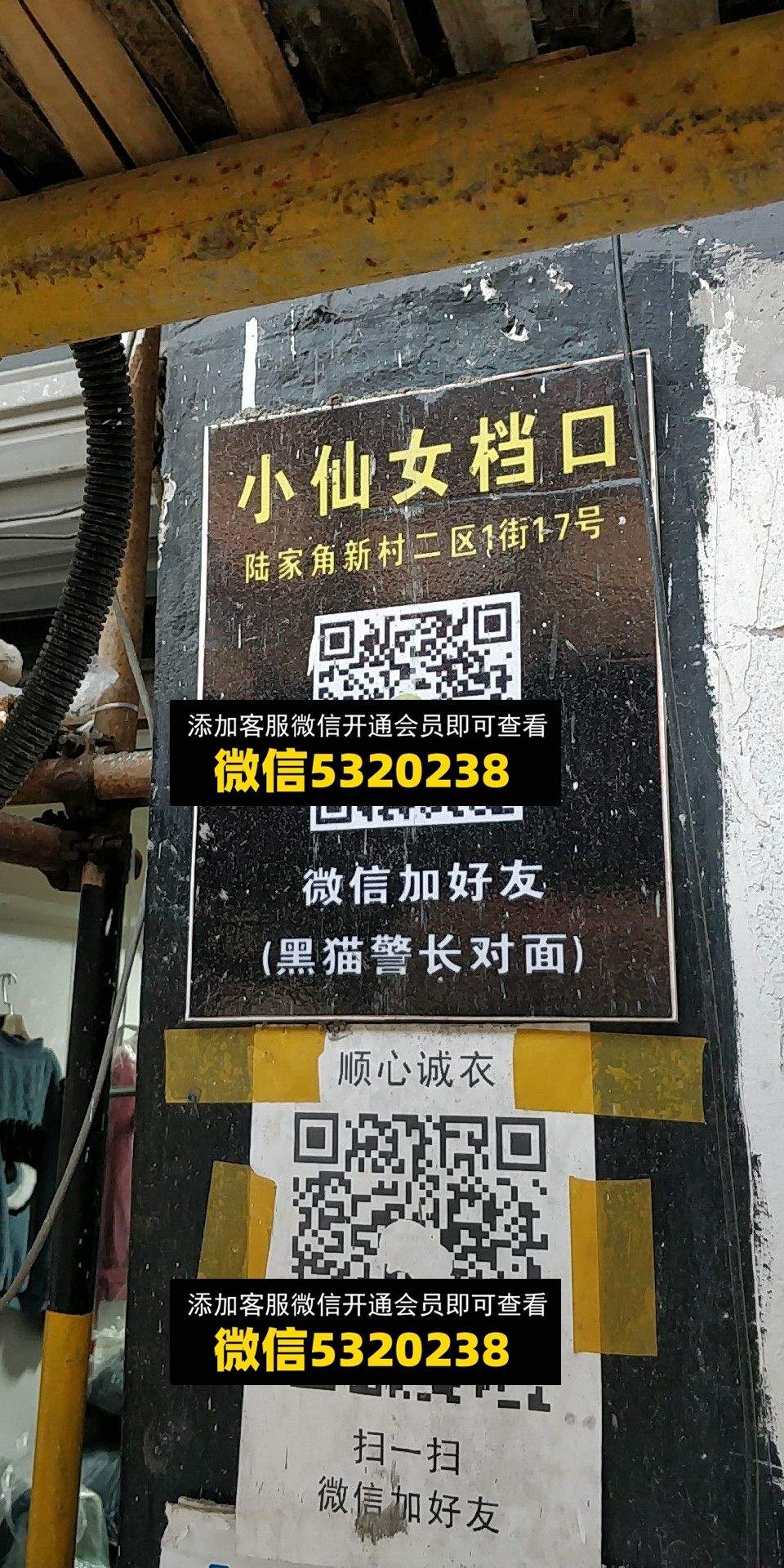 小仙女