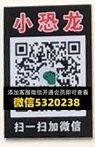 小恐龙