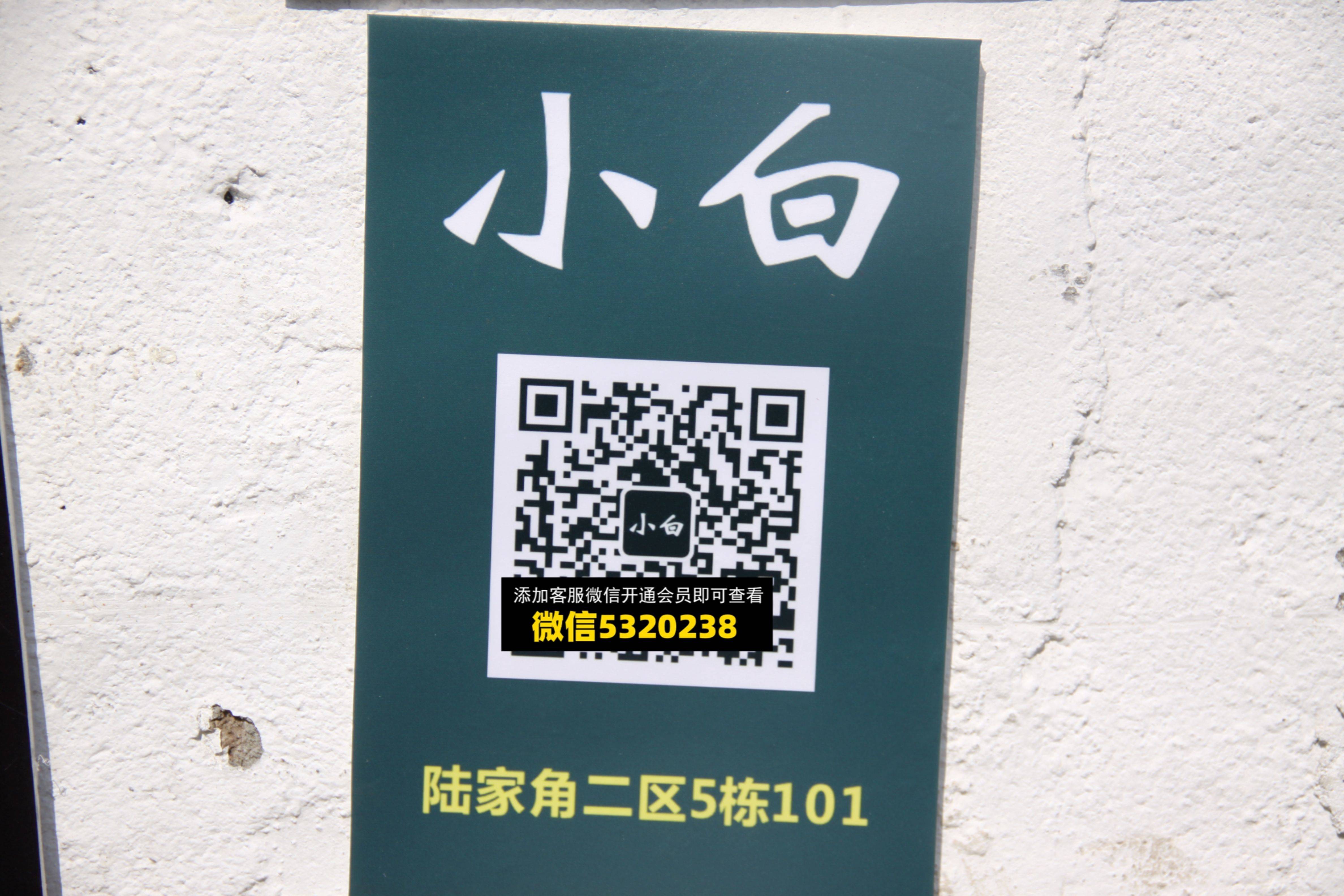 小白