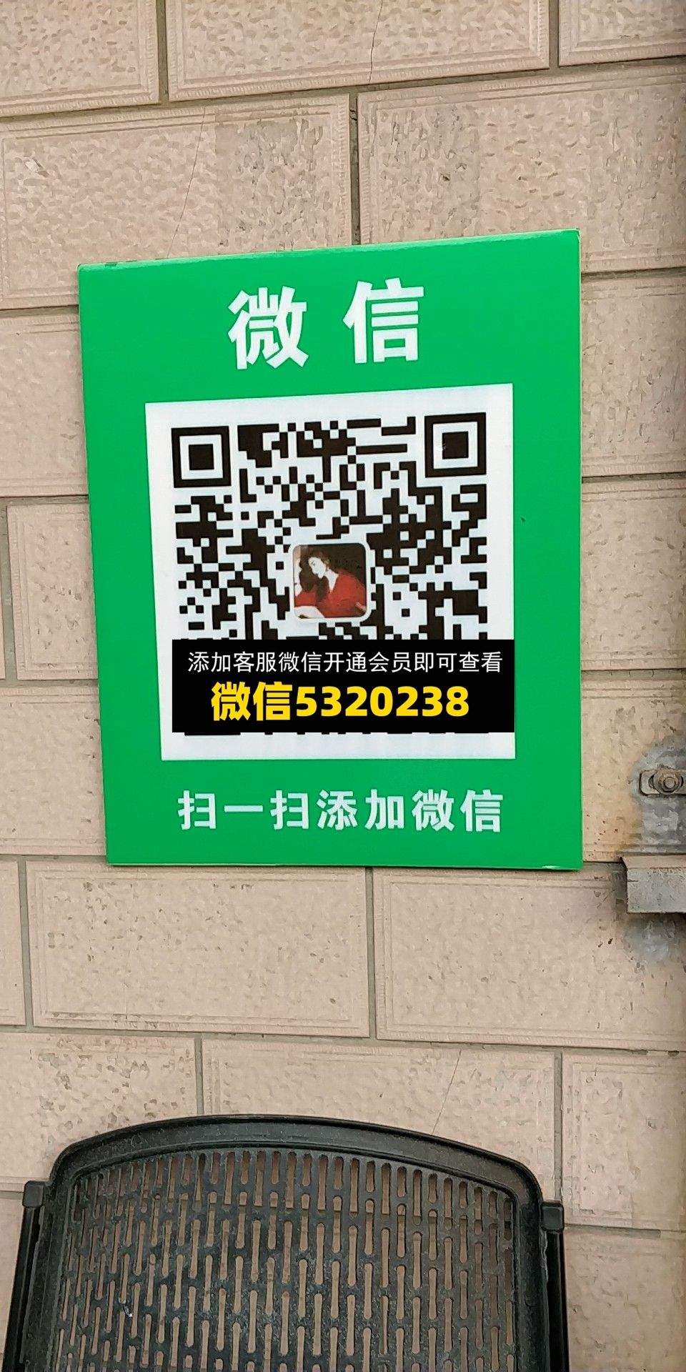 小码头索菲亚的兔子