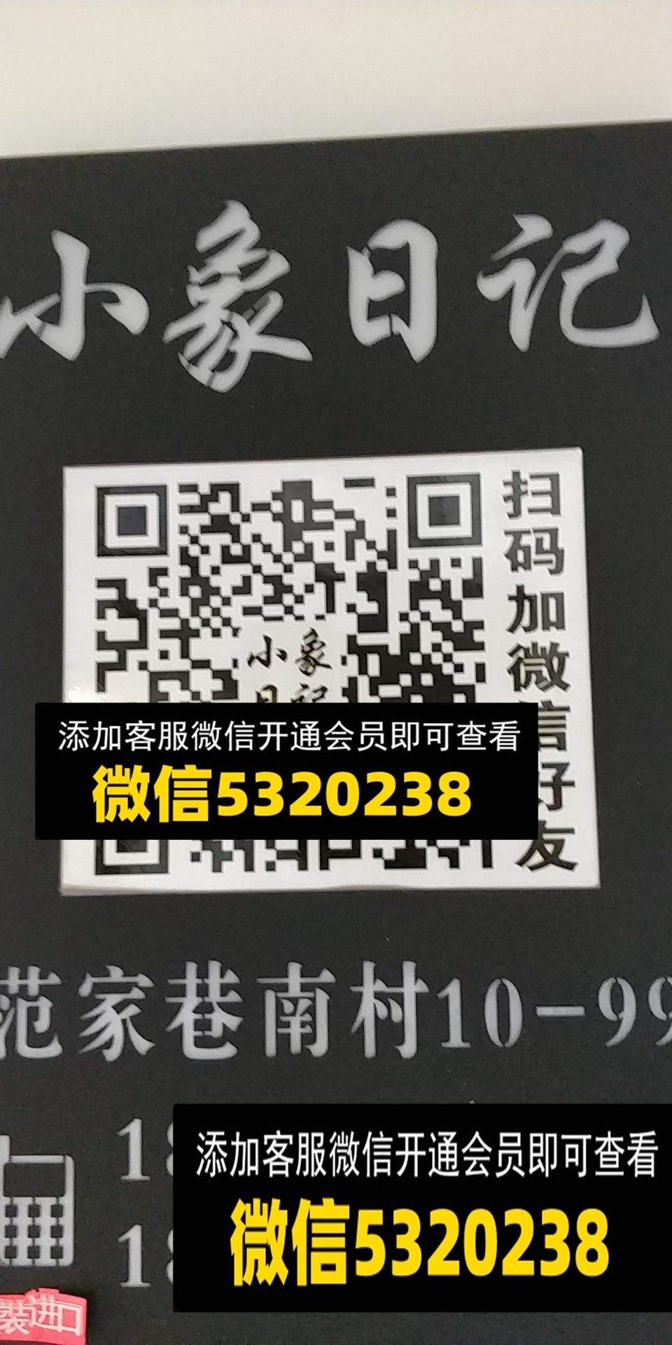 小象日记