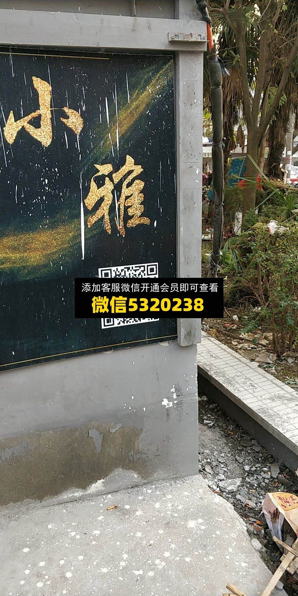 小雅