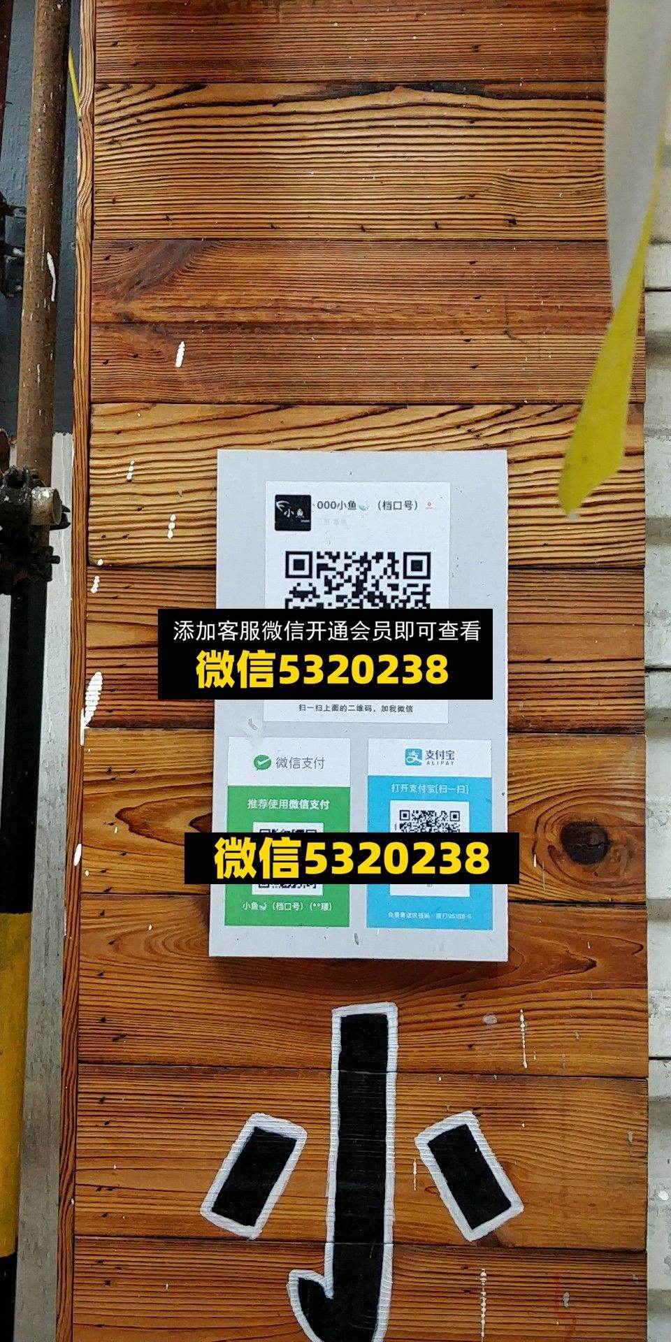 小鱼