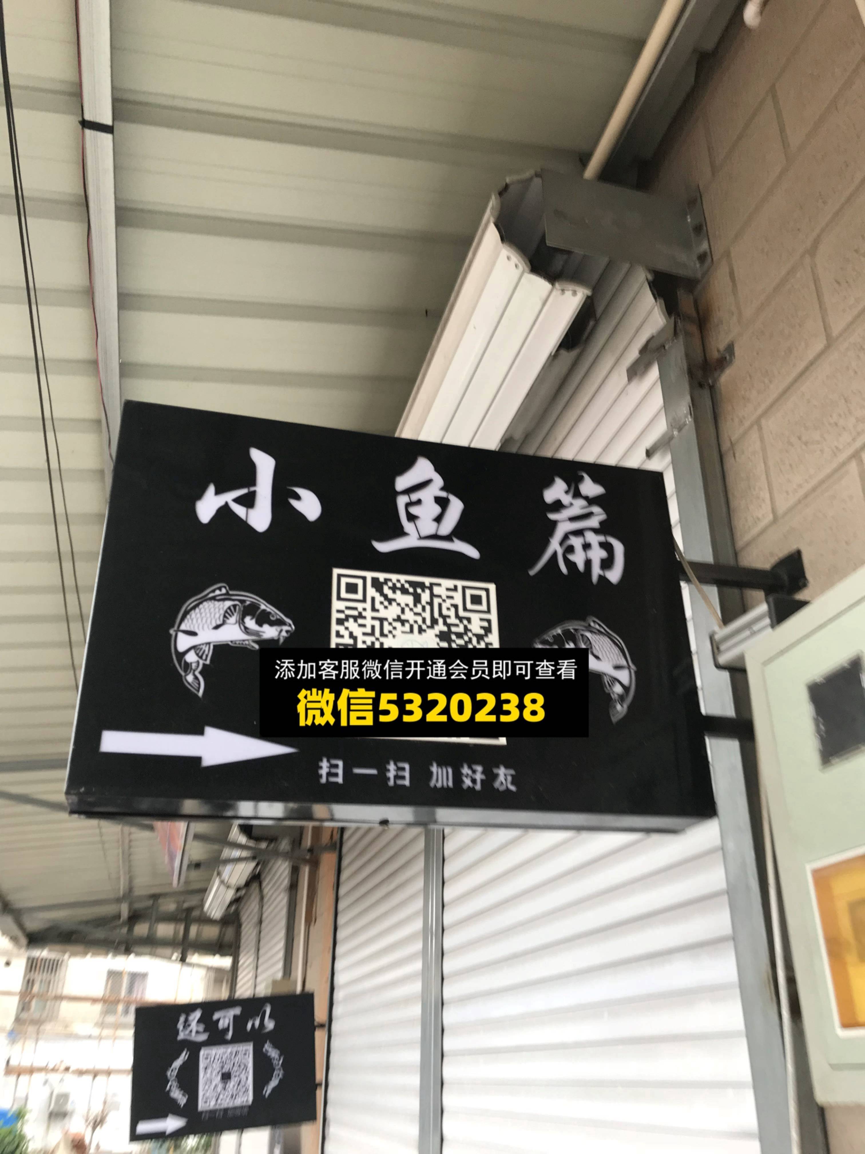 小鱼篇
