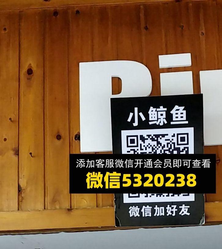小鲸鱼