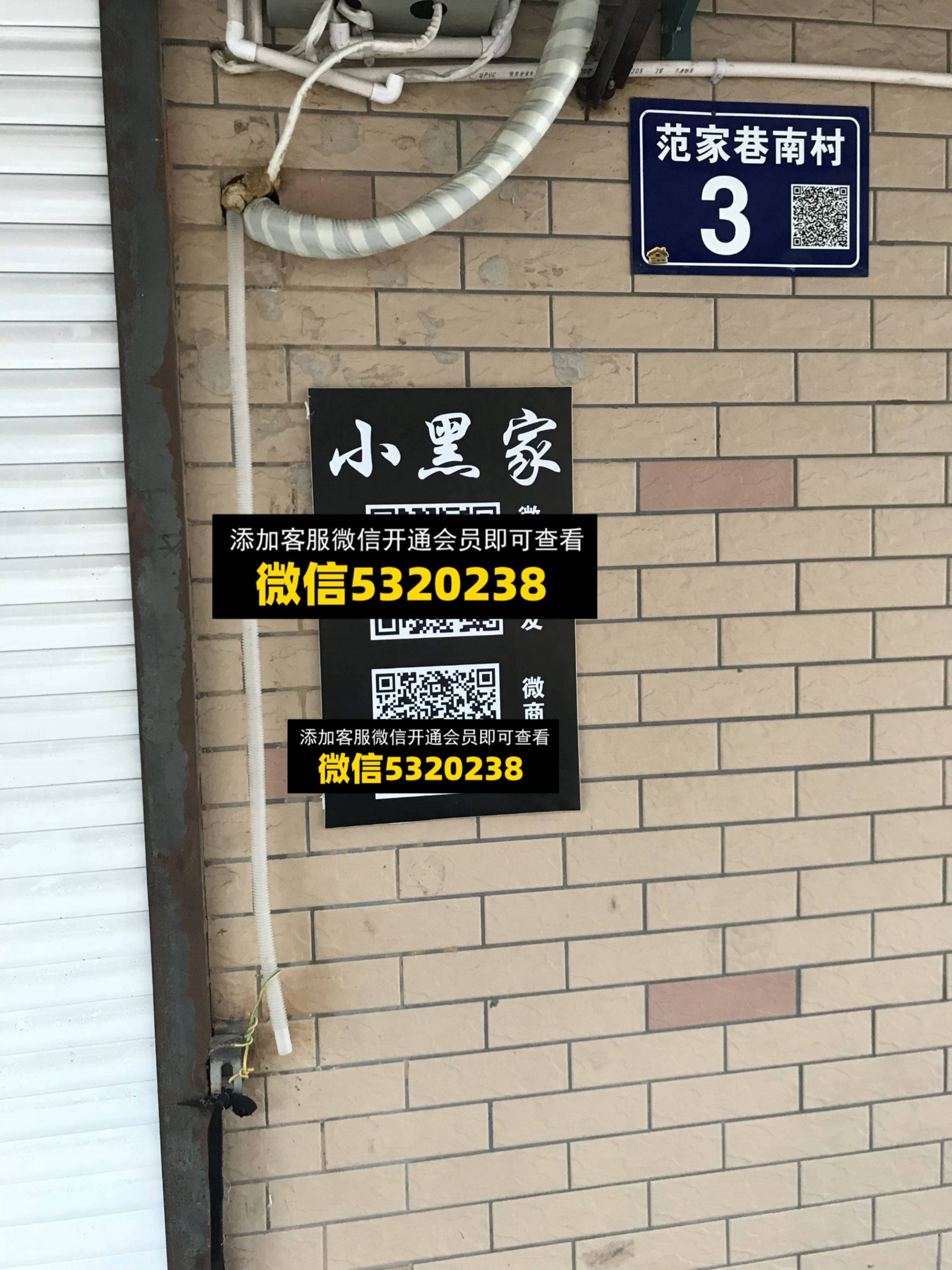小黑夹