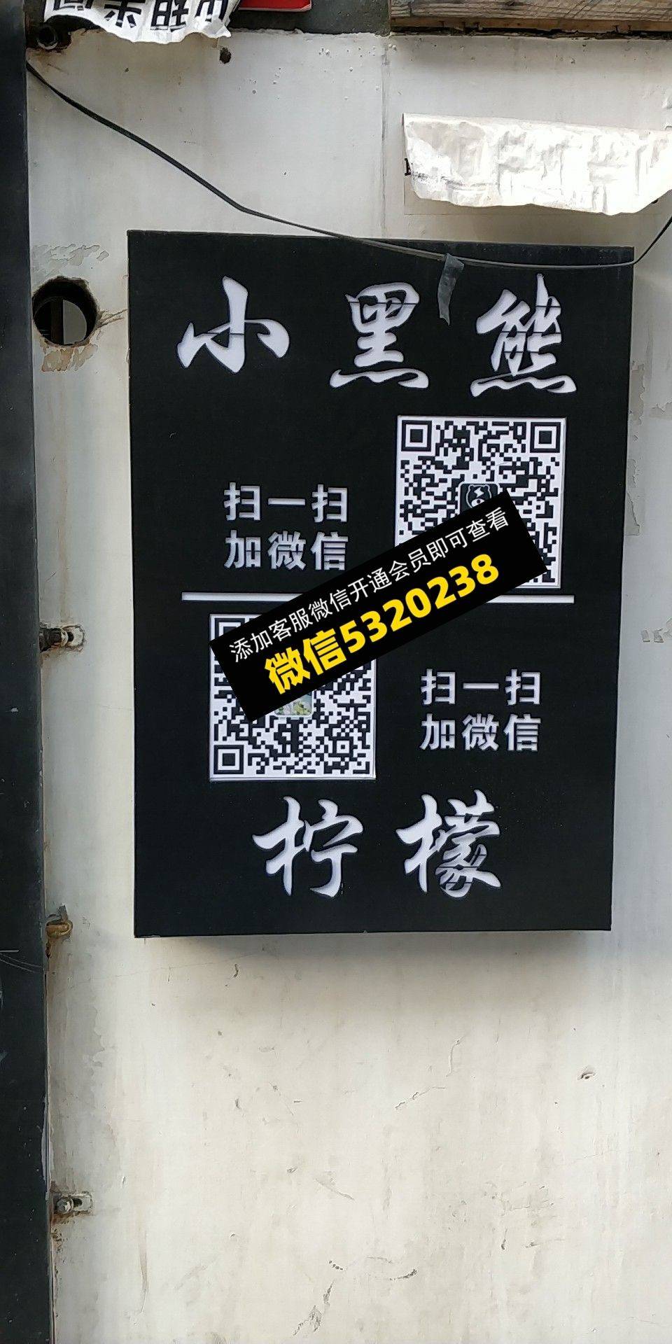 小黑熊 柠檬