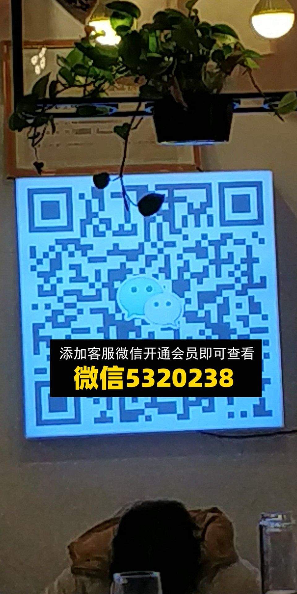 悦衣