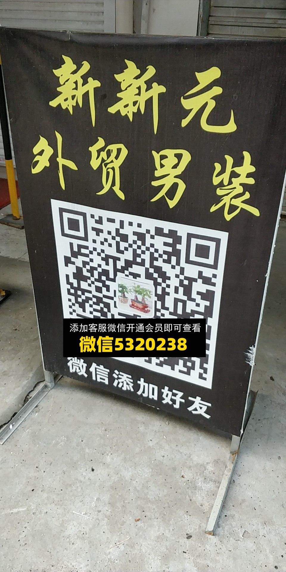 新新元
