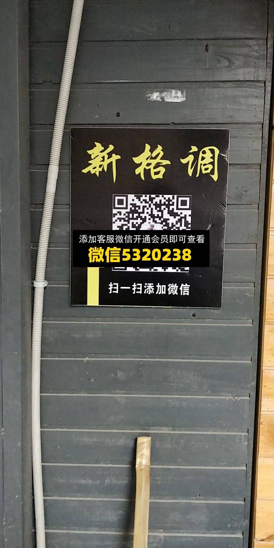 新格调
