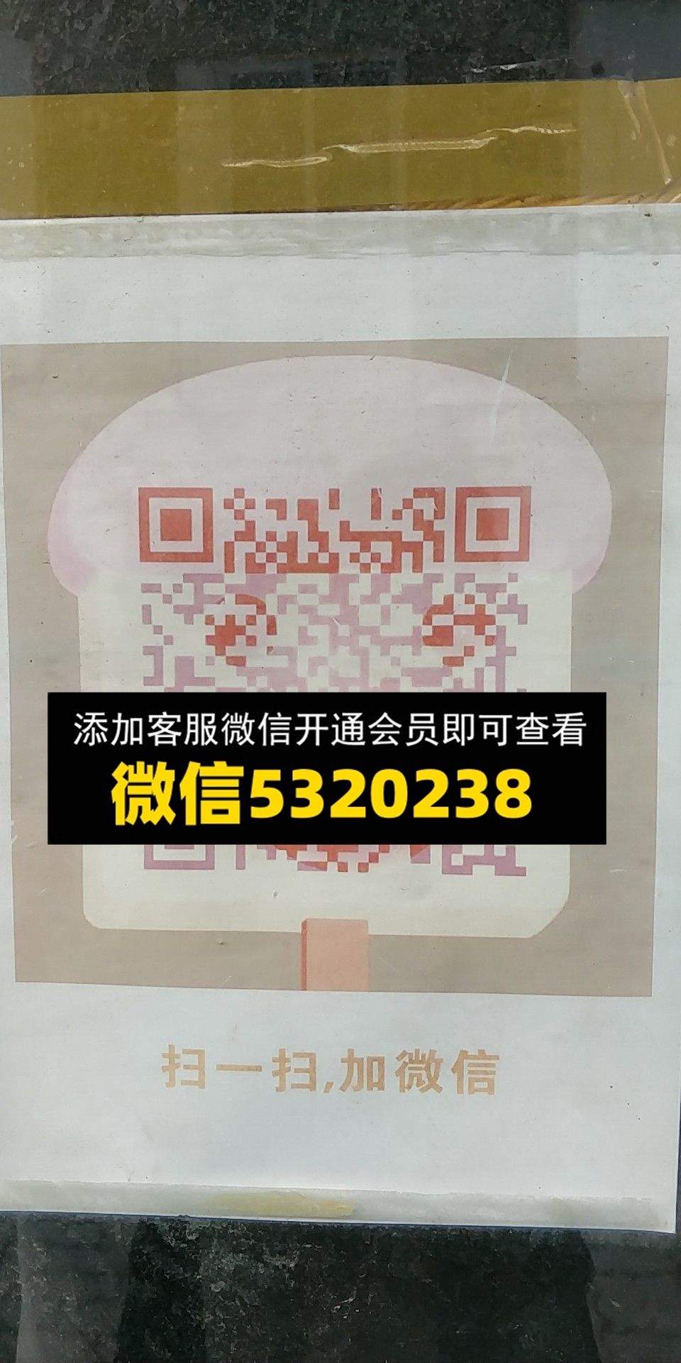 林哥