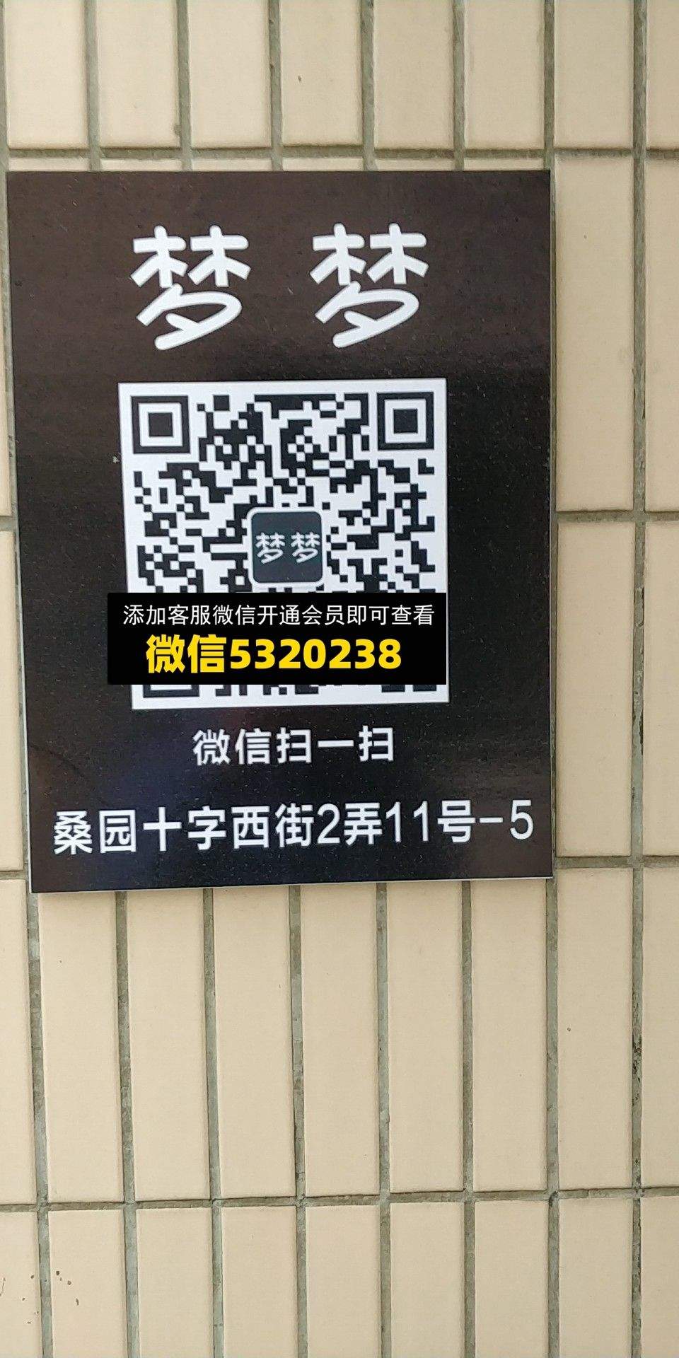 梦梦