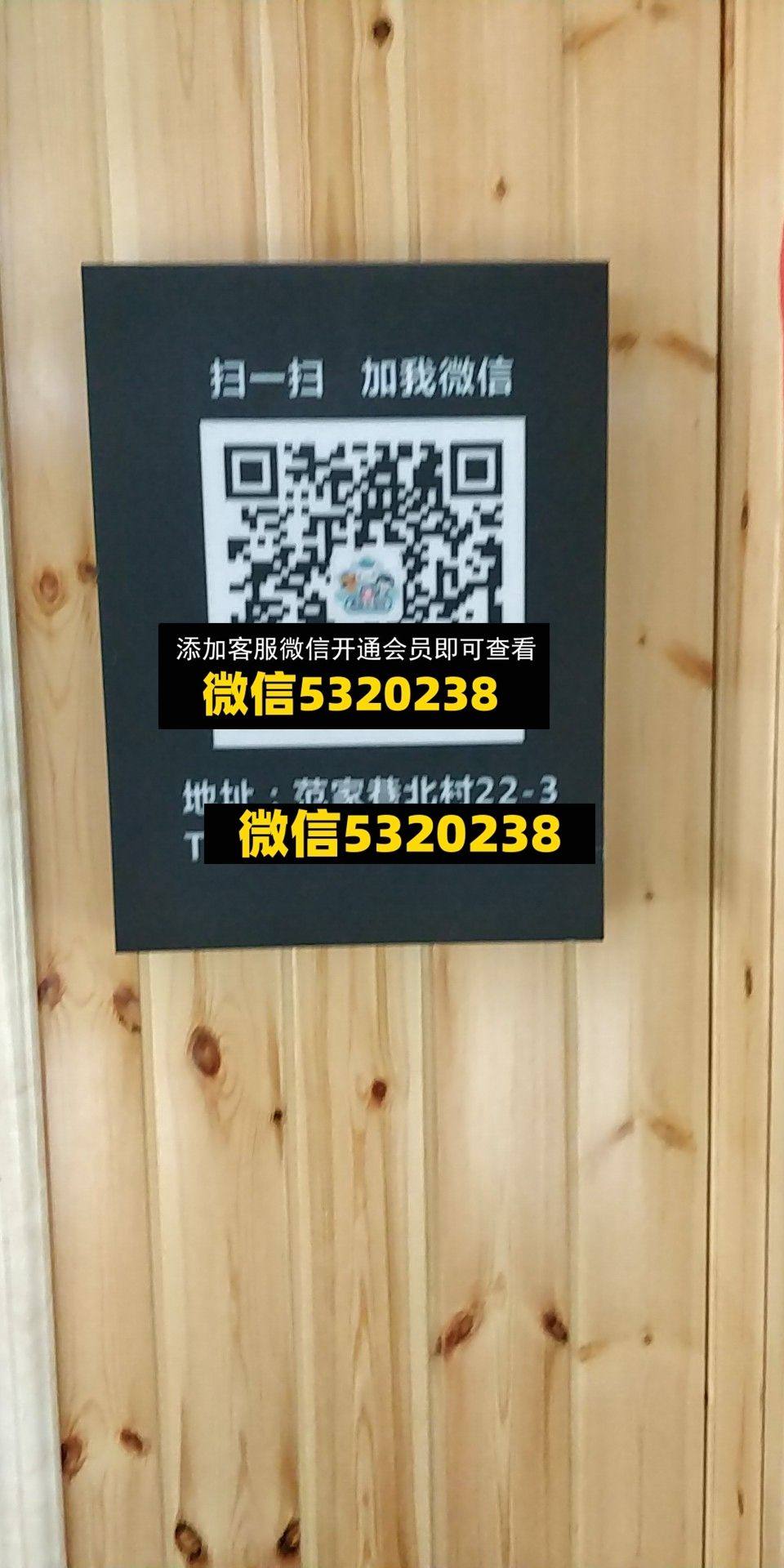 海底小纵队