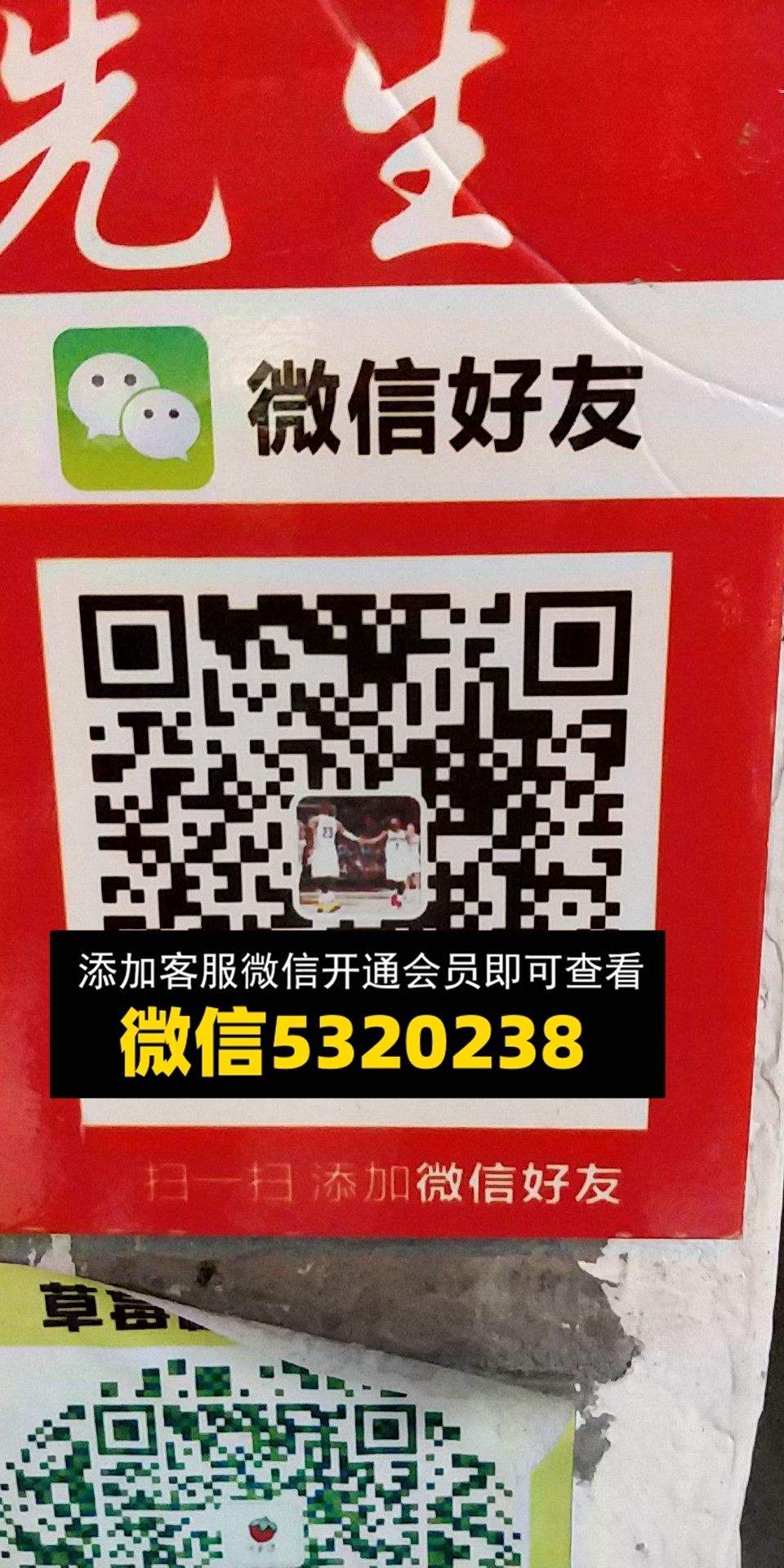 淘货先生