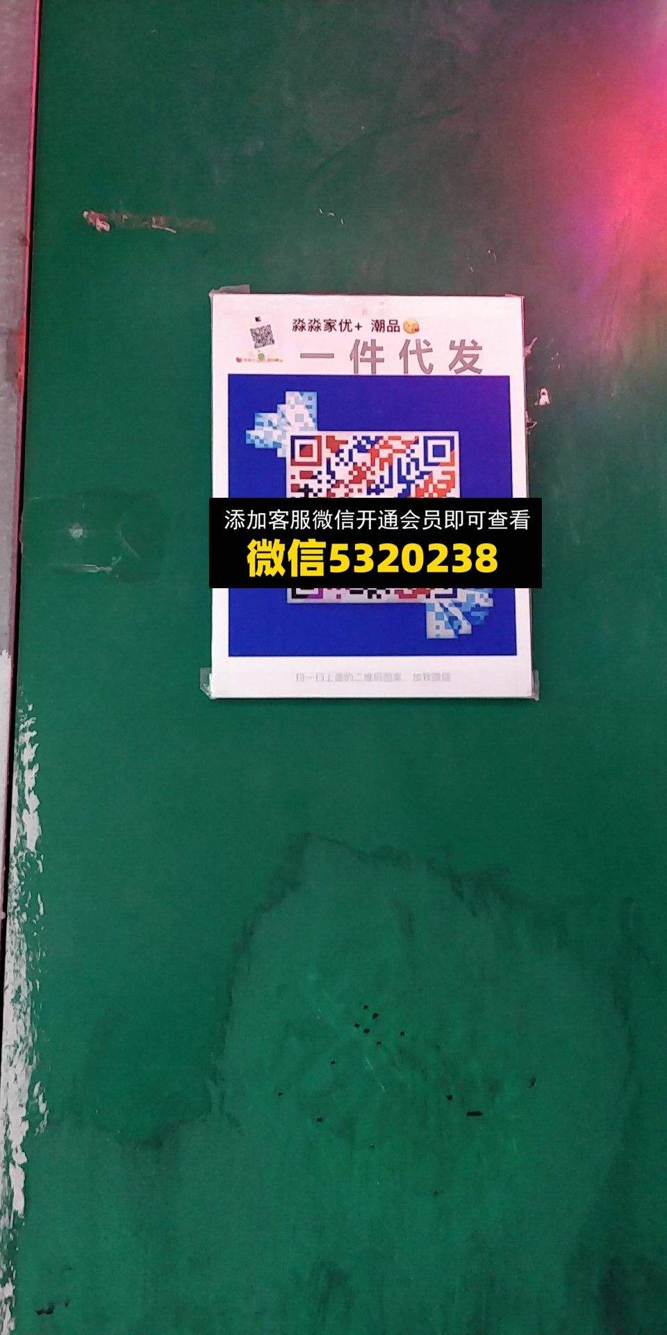 淼淼家