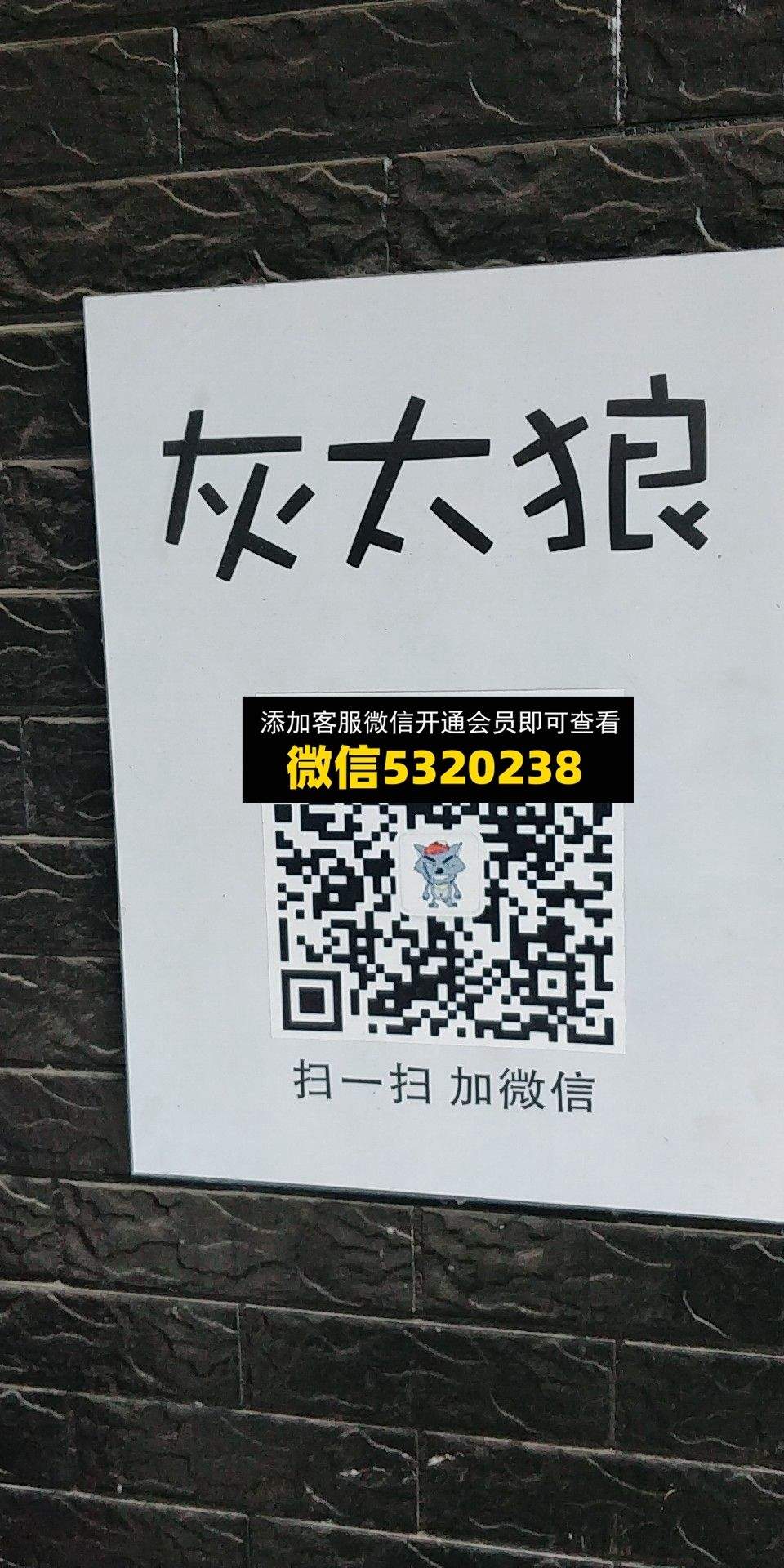 灰太狼