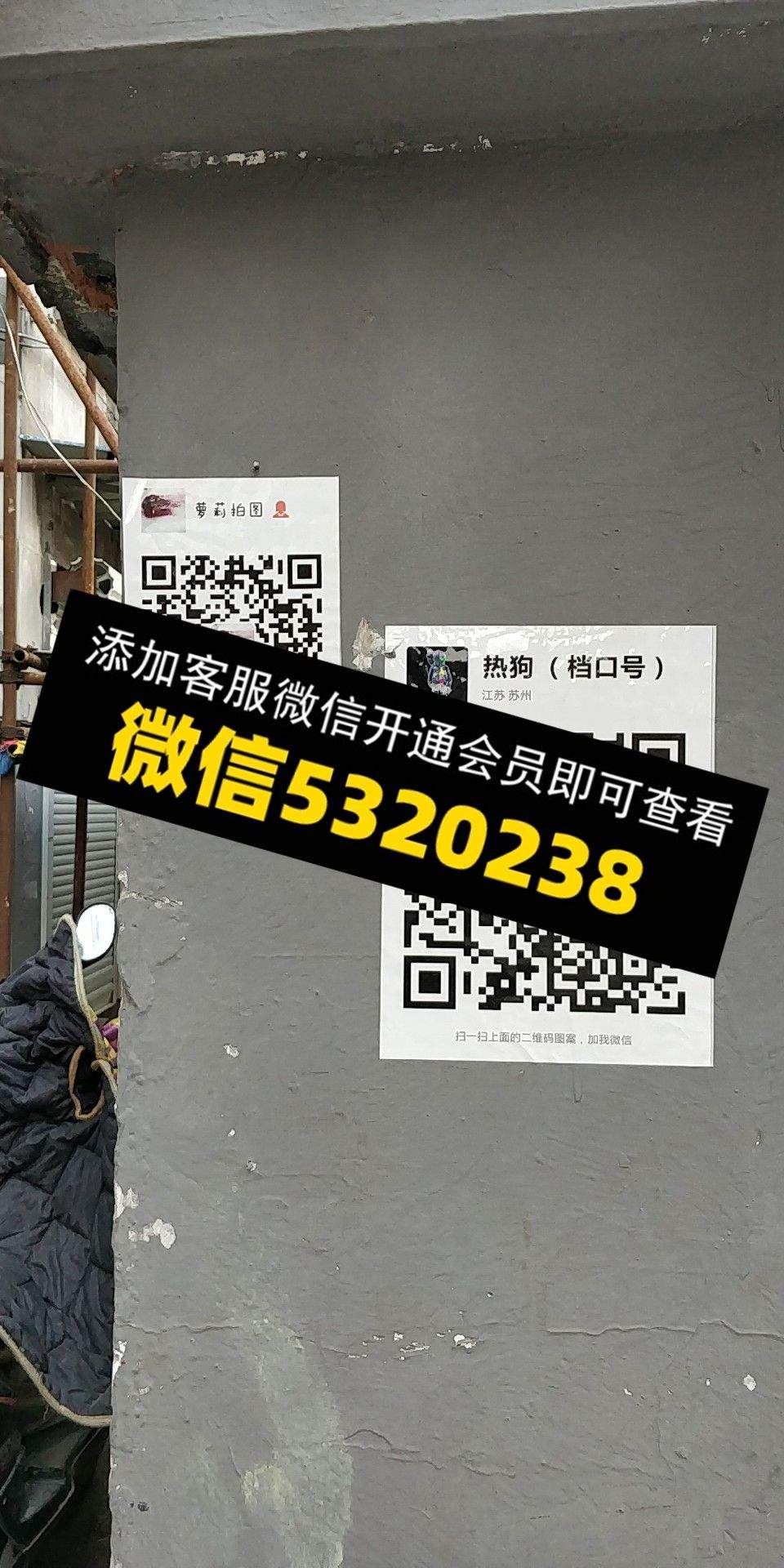 热狗 萝莉