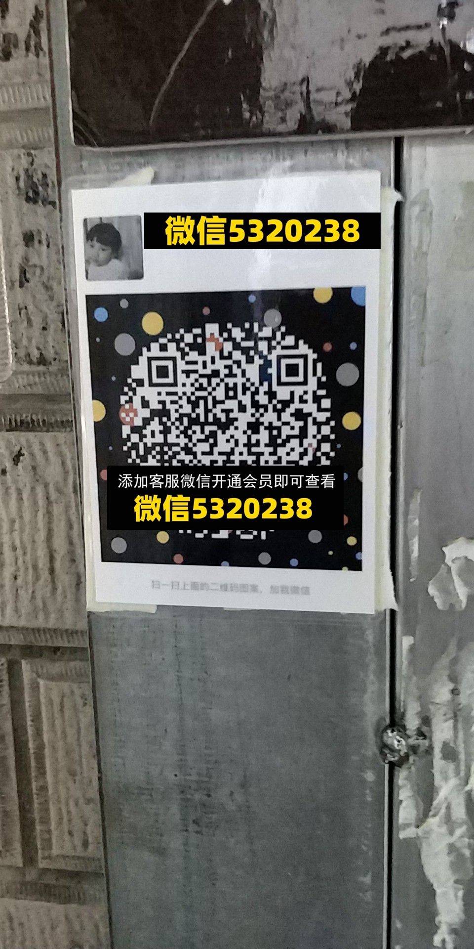 田田外贸