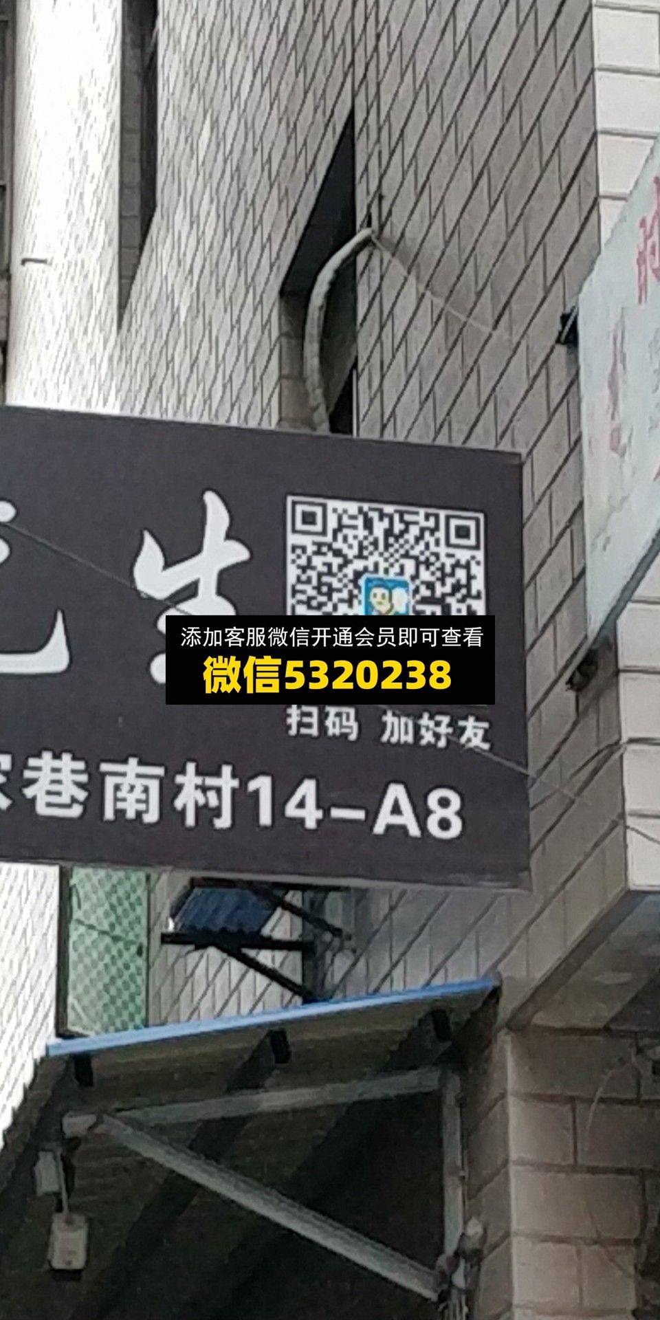疯先生