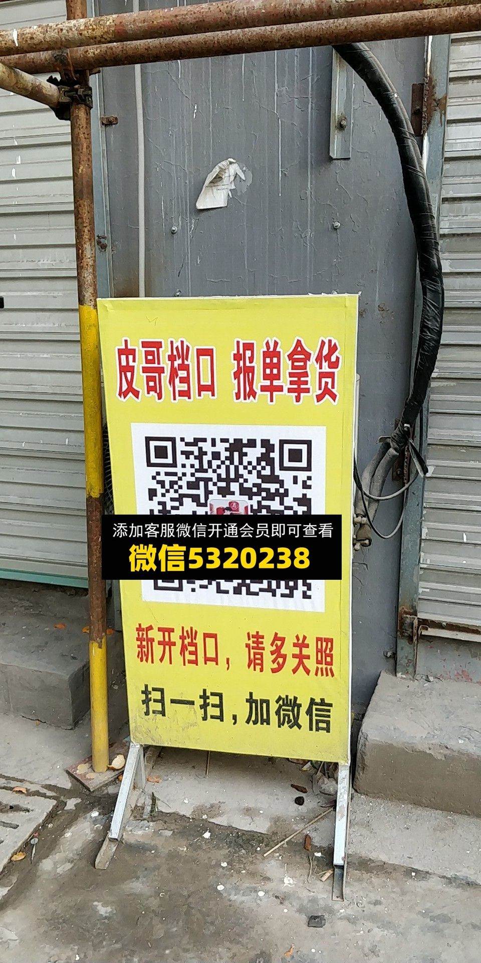 皮哥