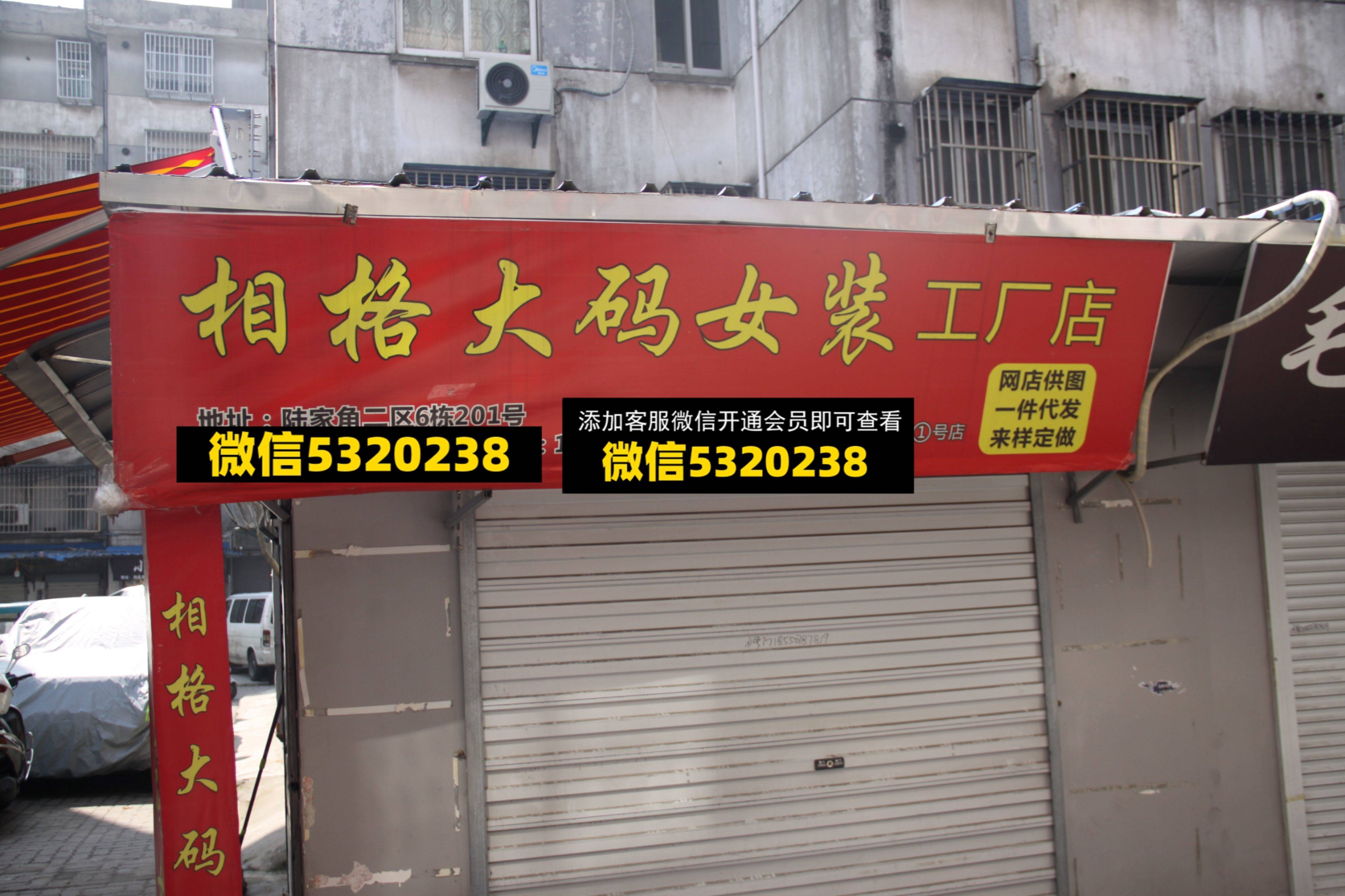 相格大码女装