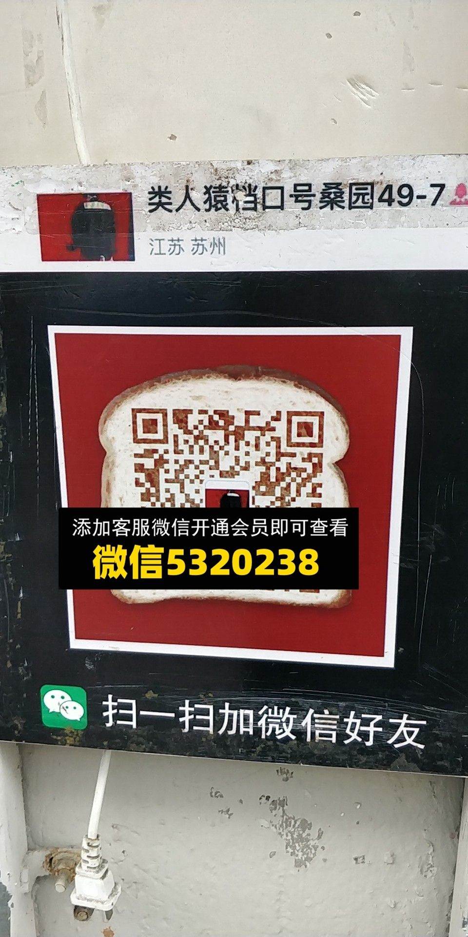 类人猿