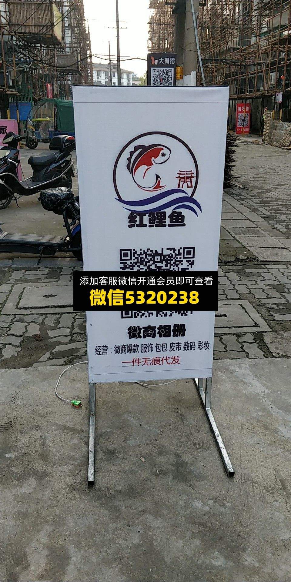 红鲤鱼