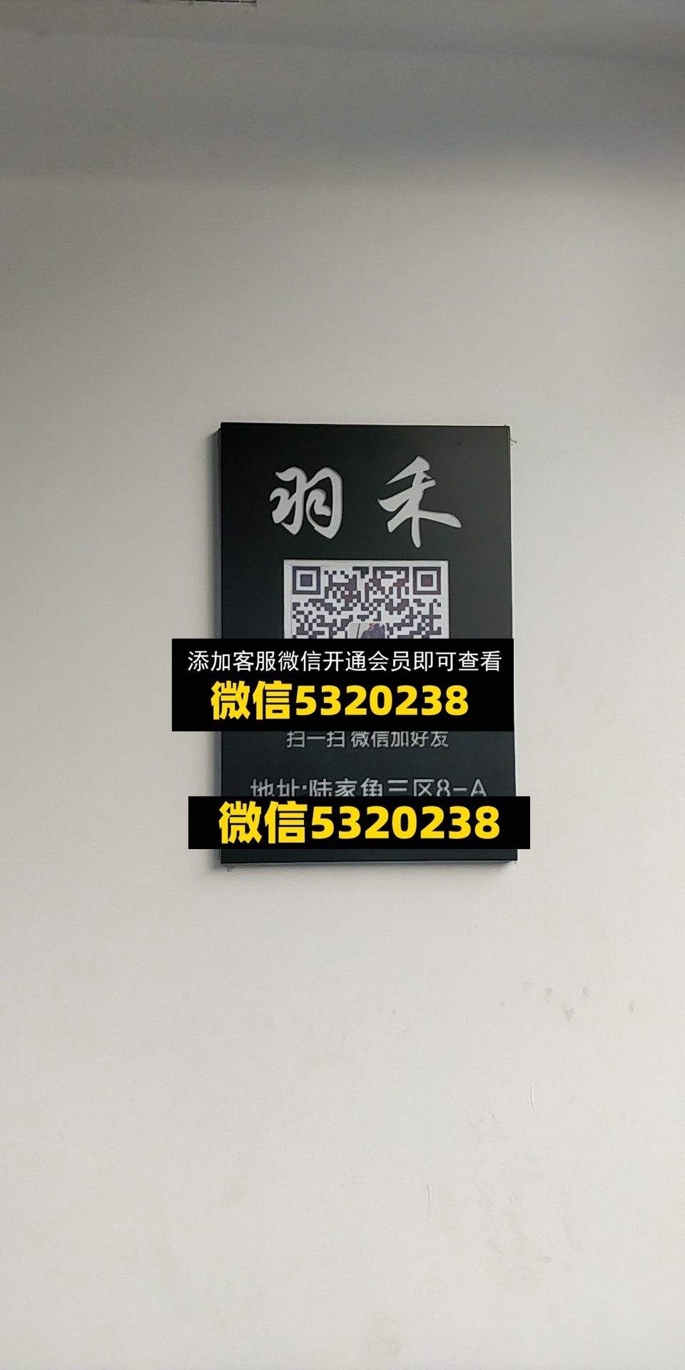 羽禾