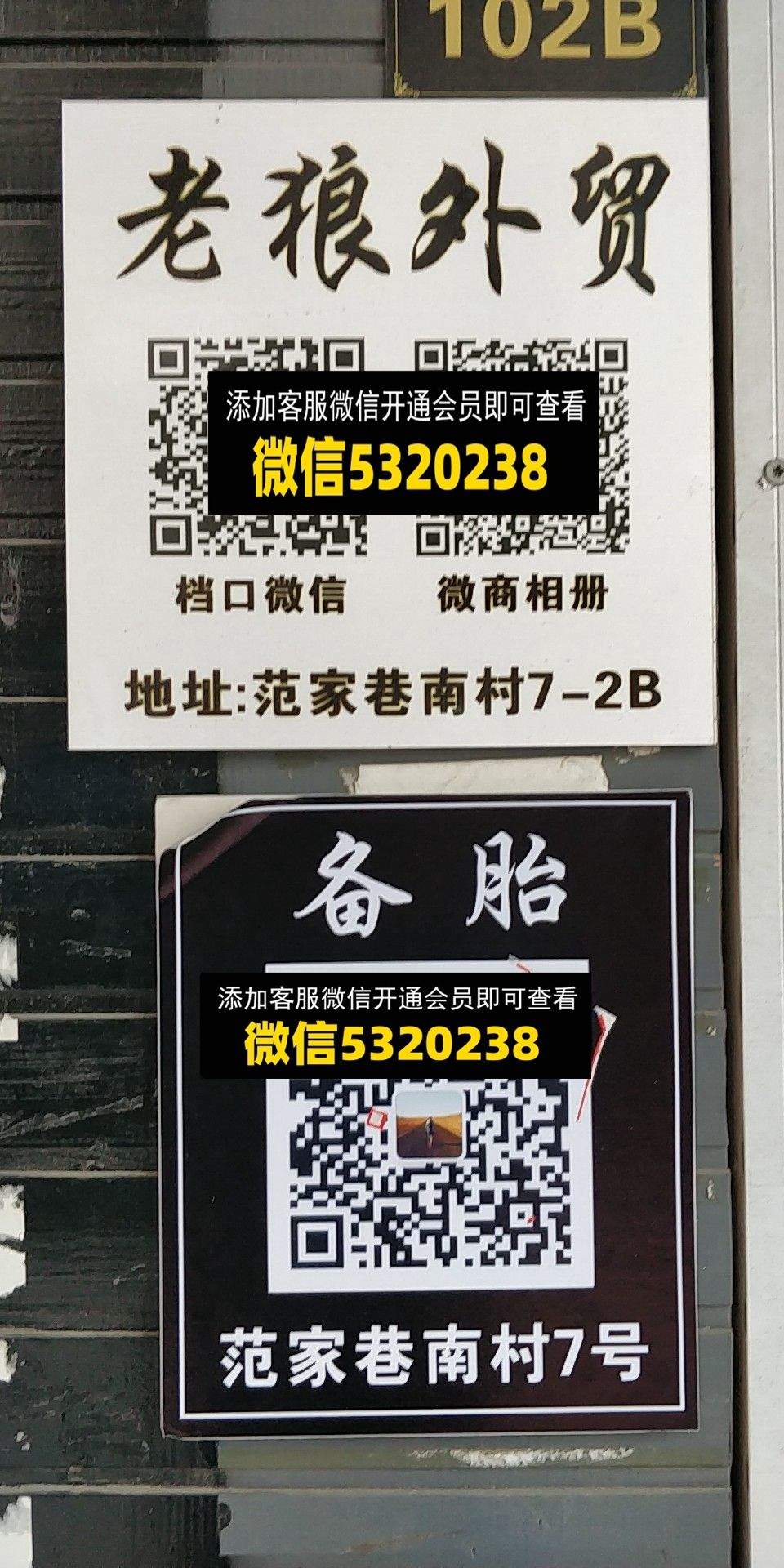 老狼 备胎