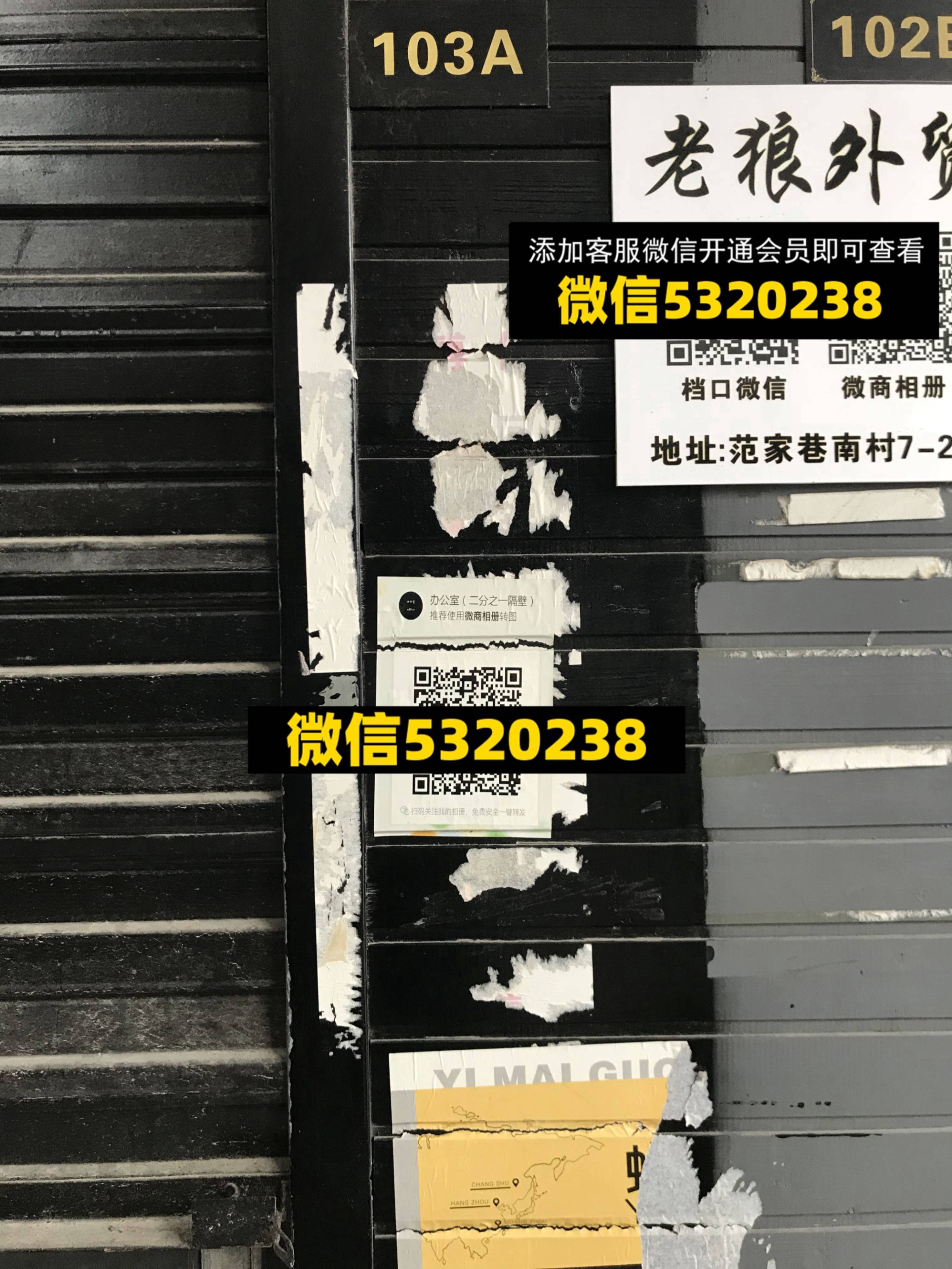 老狼外贸 (2)