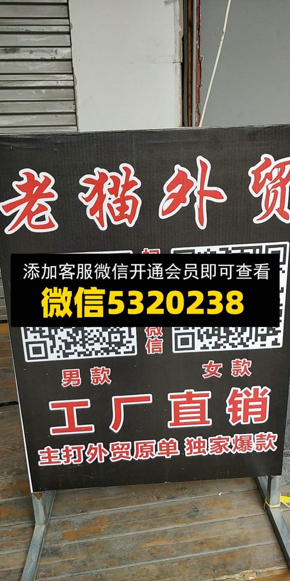 老猫