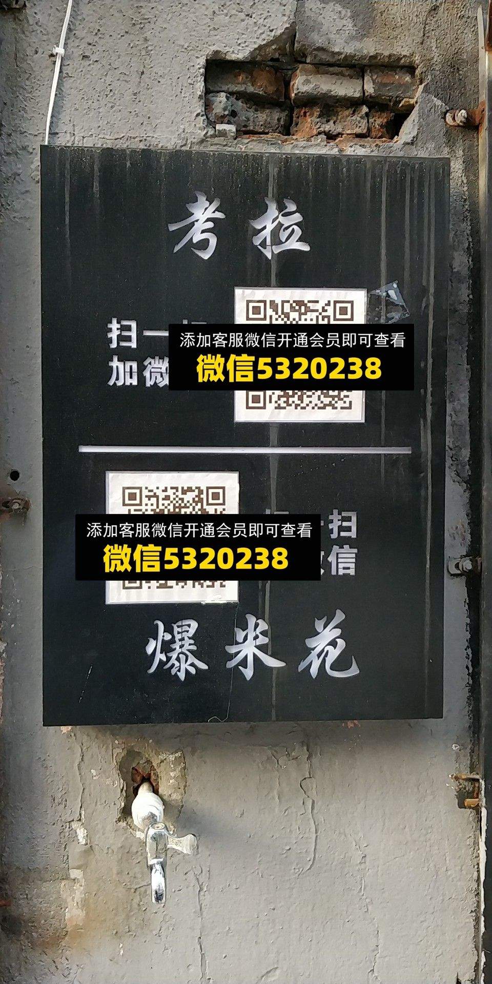 考拉 爆米花