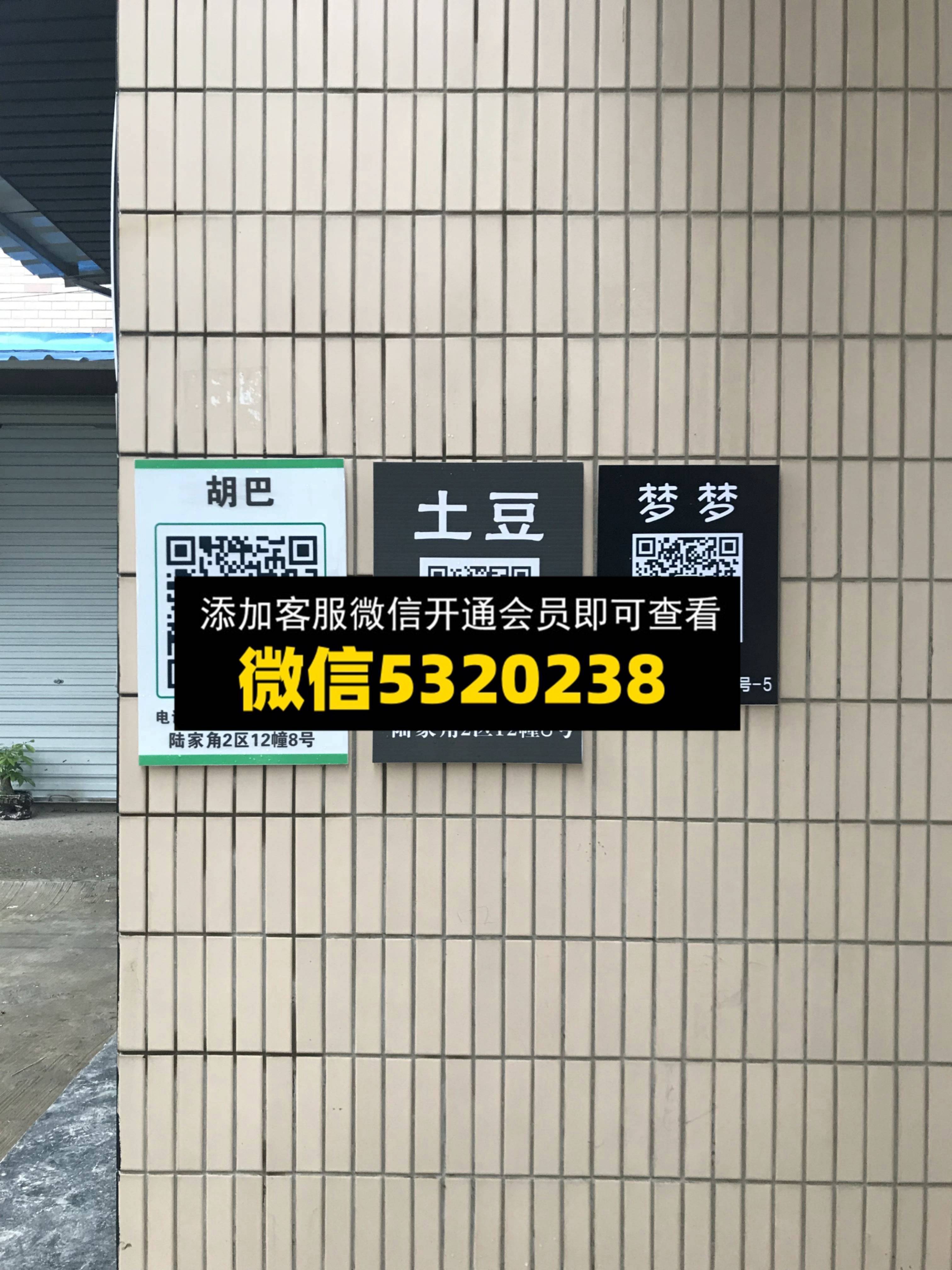 胡巴 土豆 梦梦