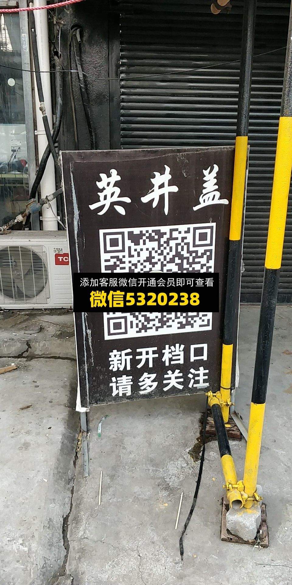 英井盖