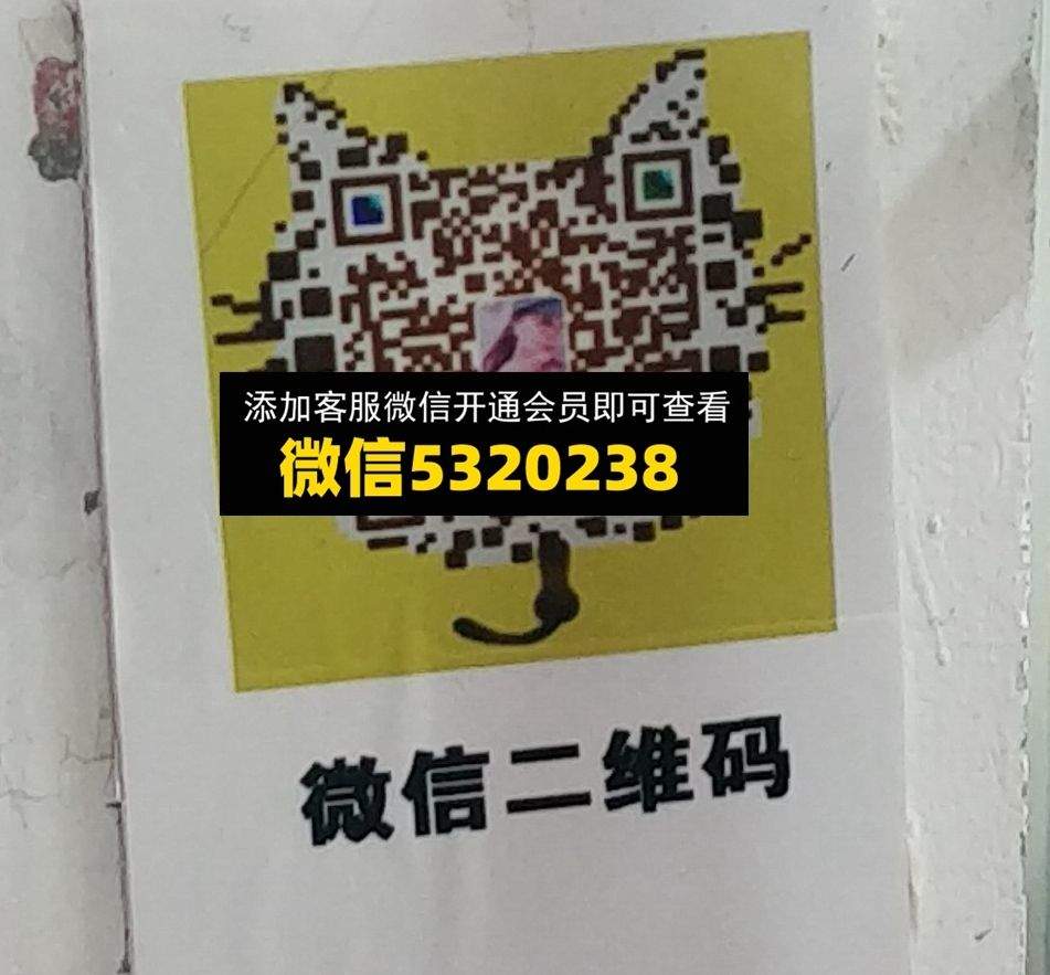 莎莎 范南
