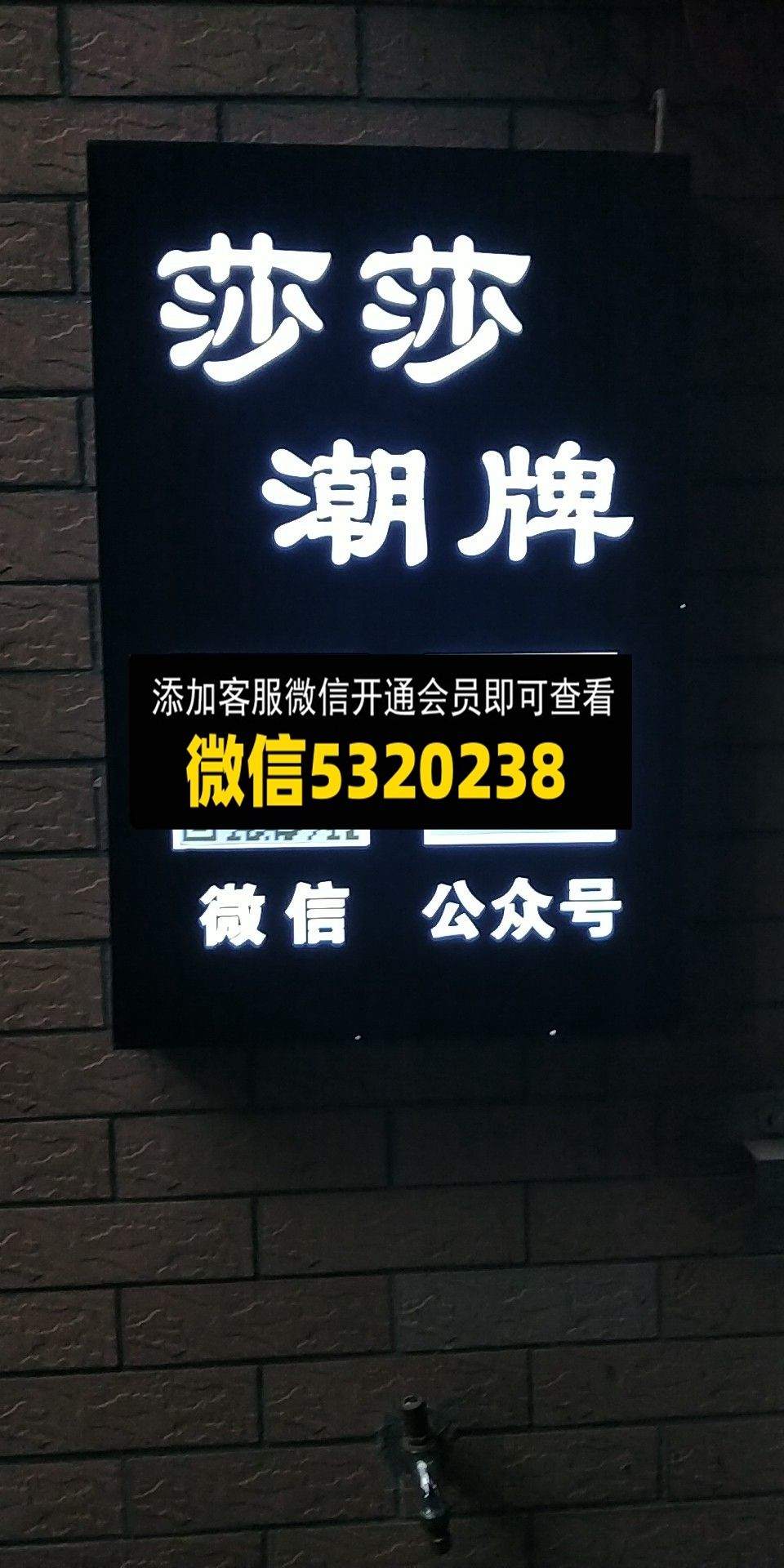 莎莎