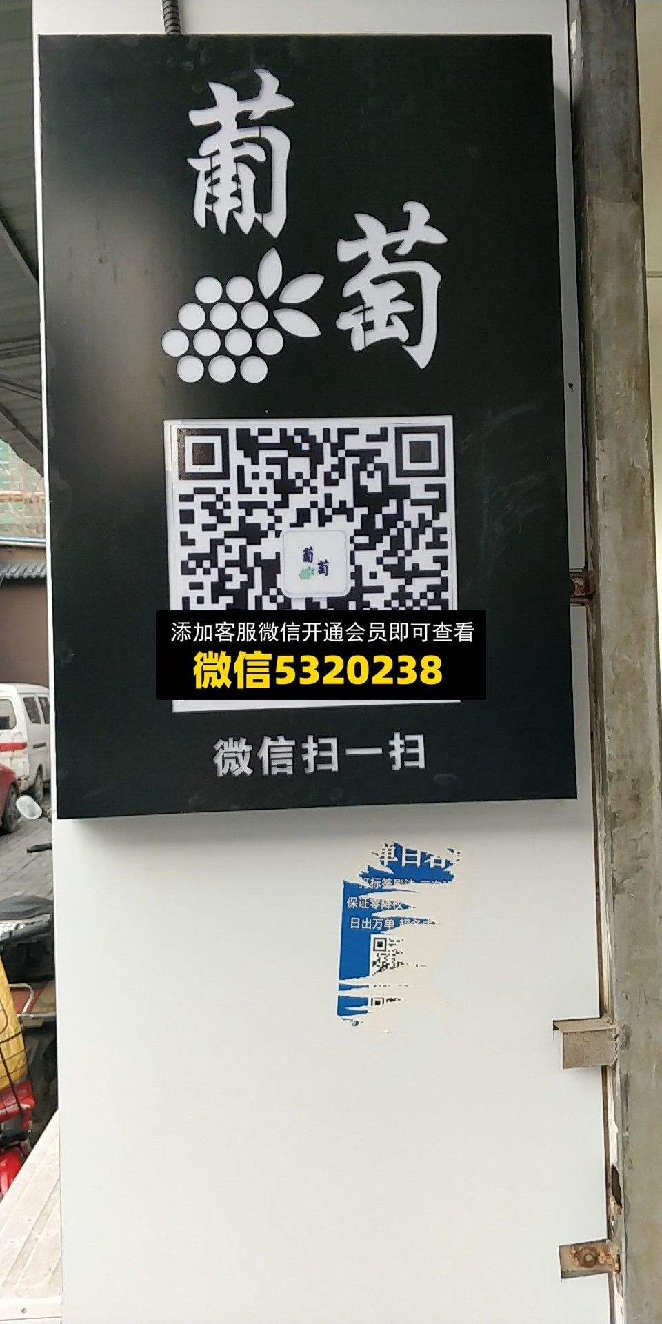 葡萄