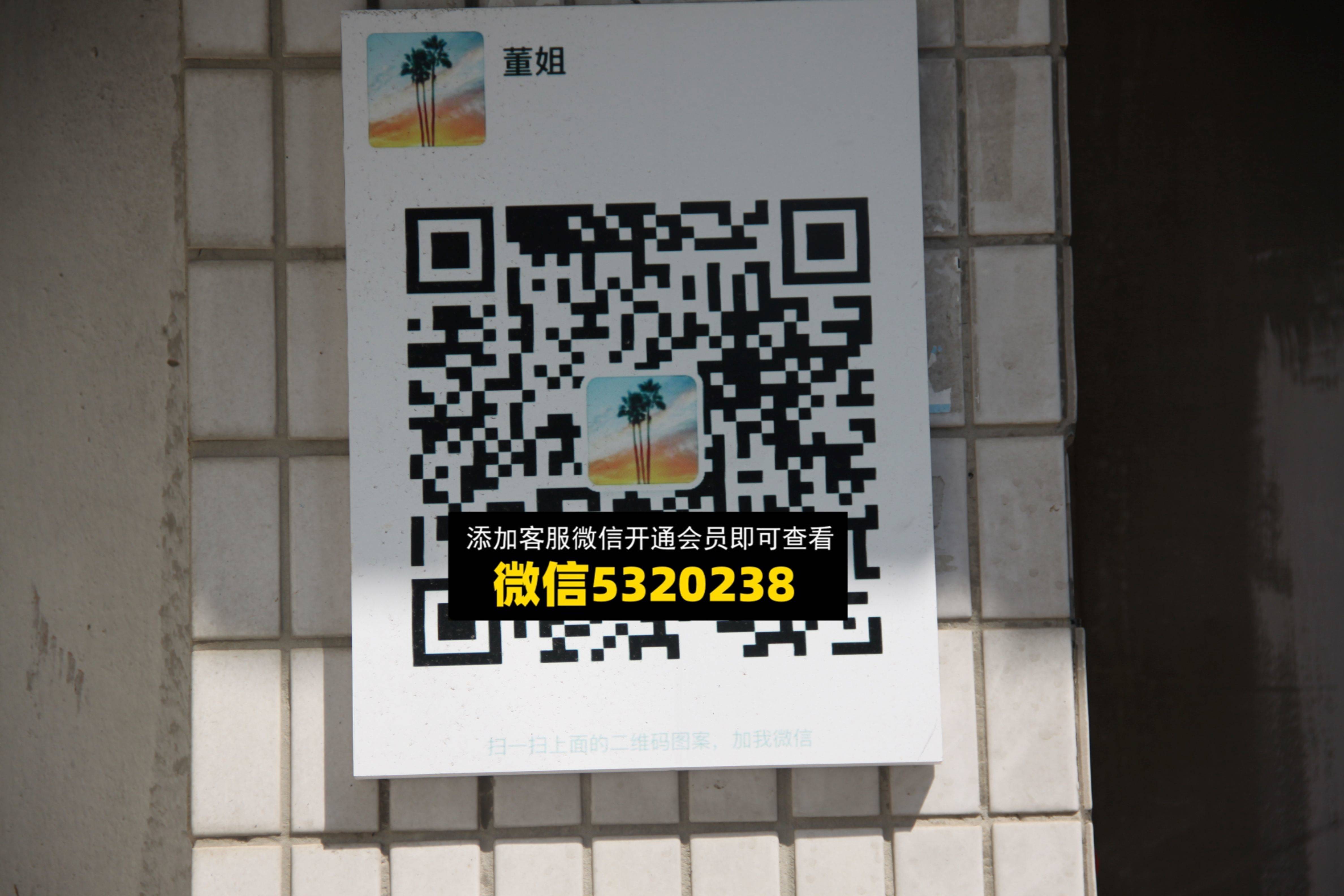 董姐
