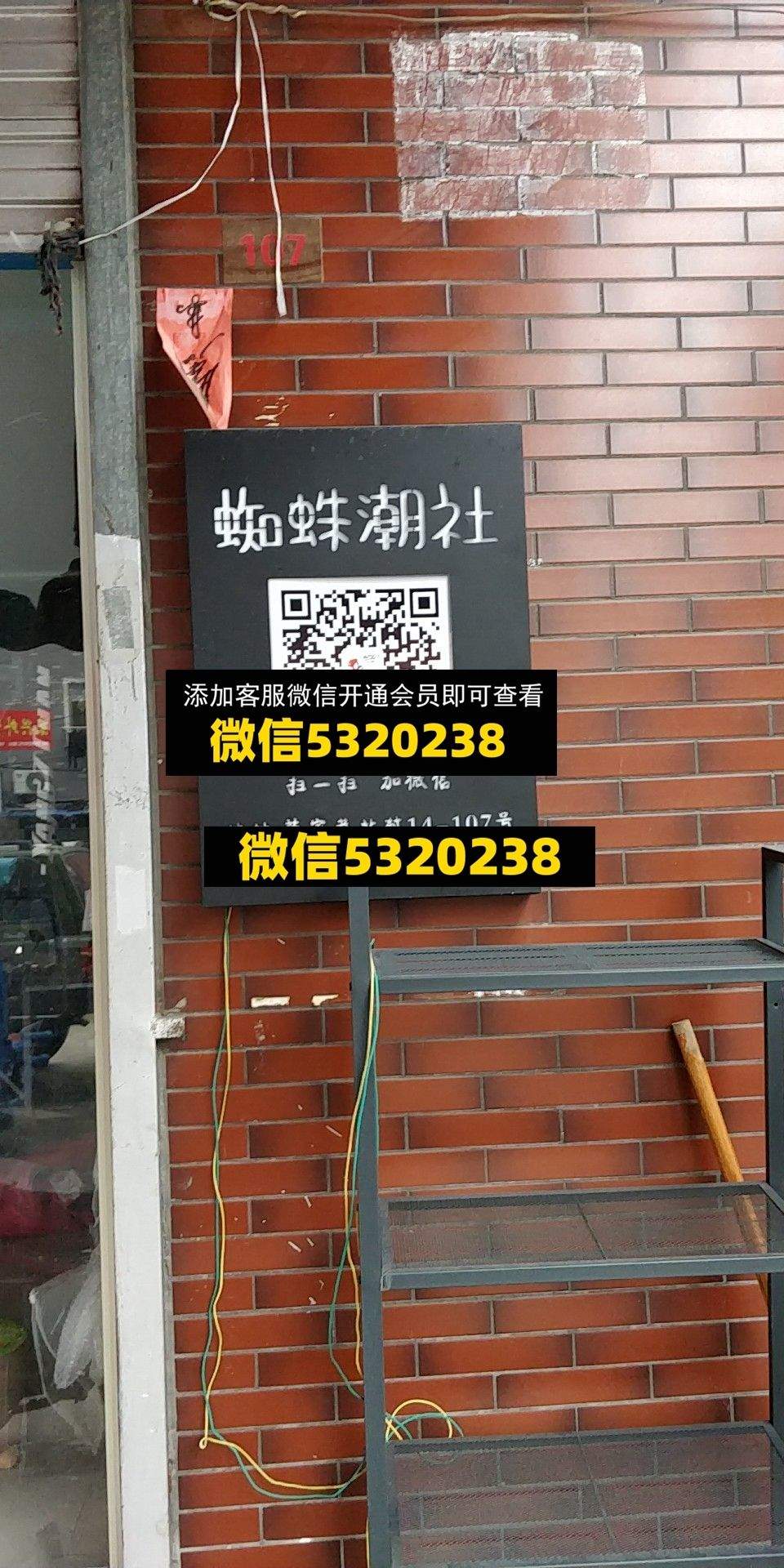 蜘蛛