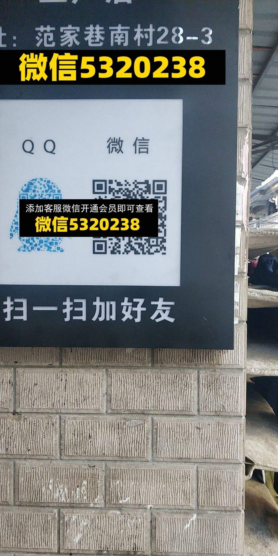 衣诺千金