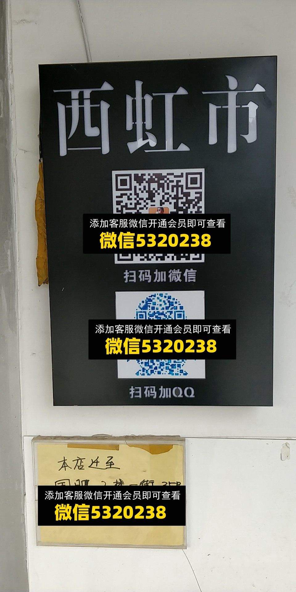 西红柿