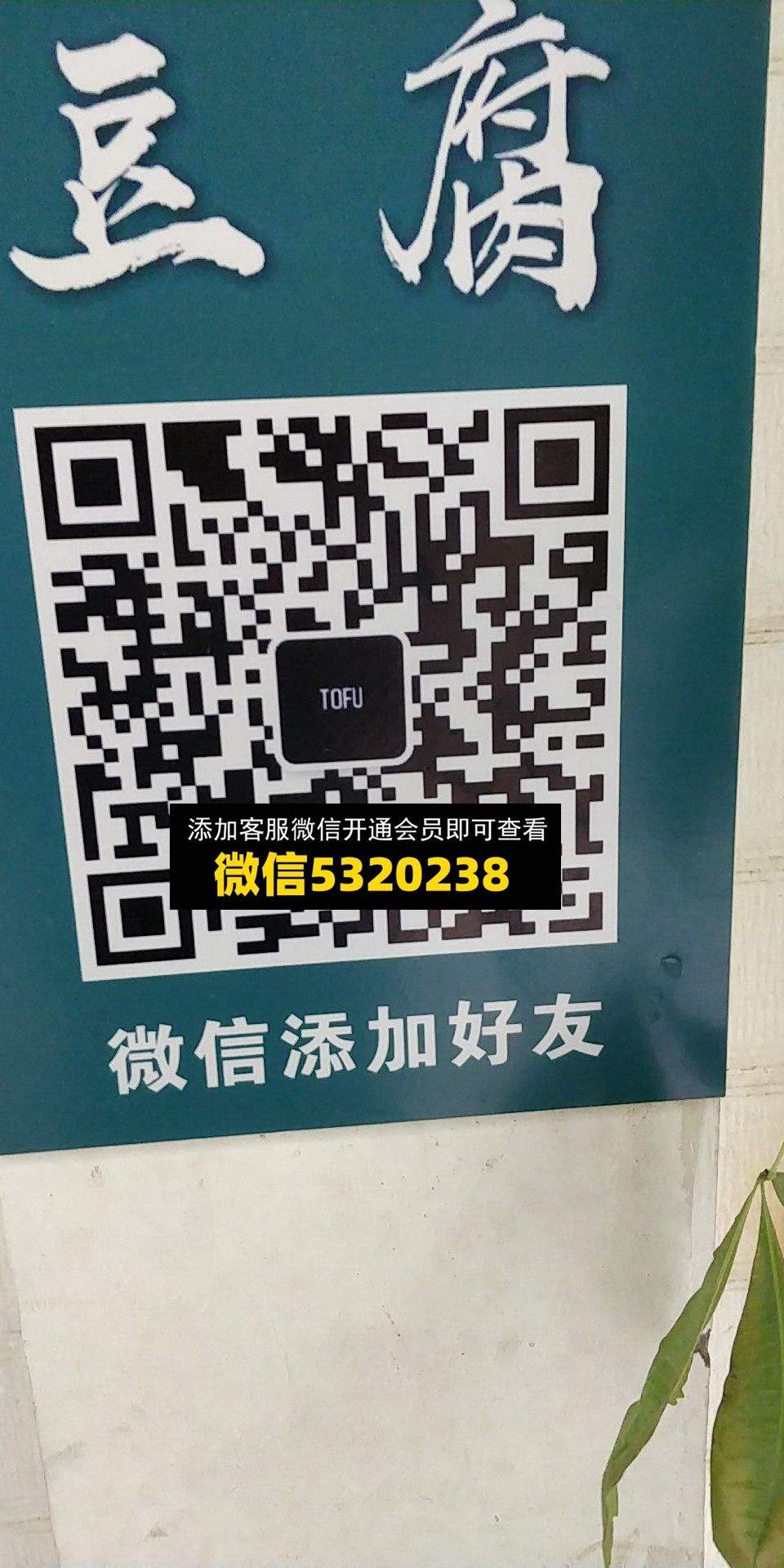 豆腐