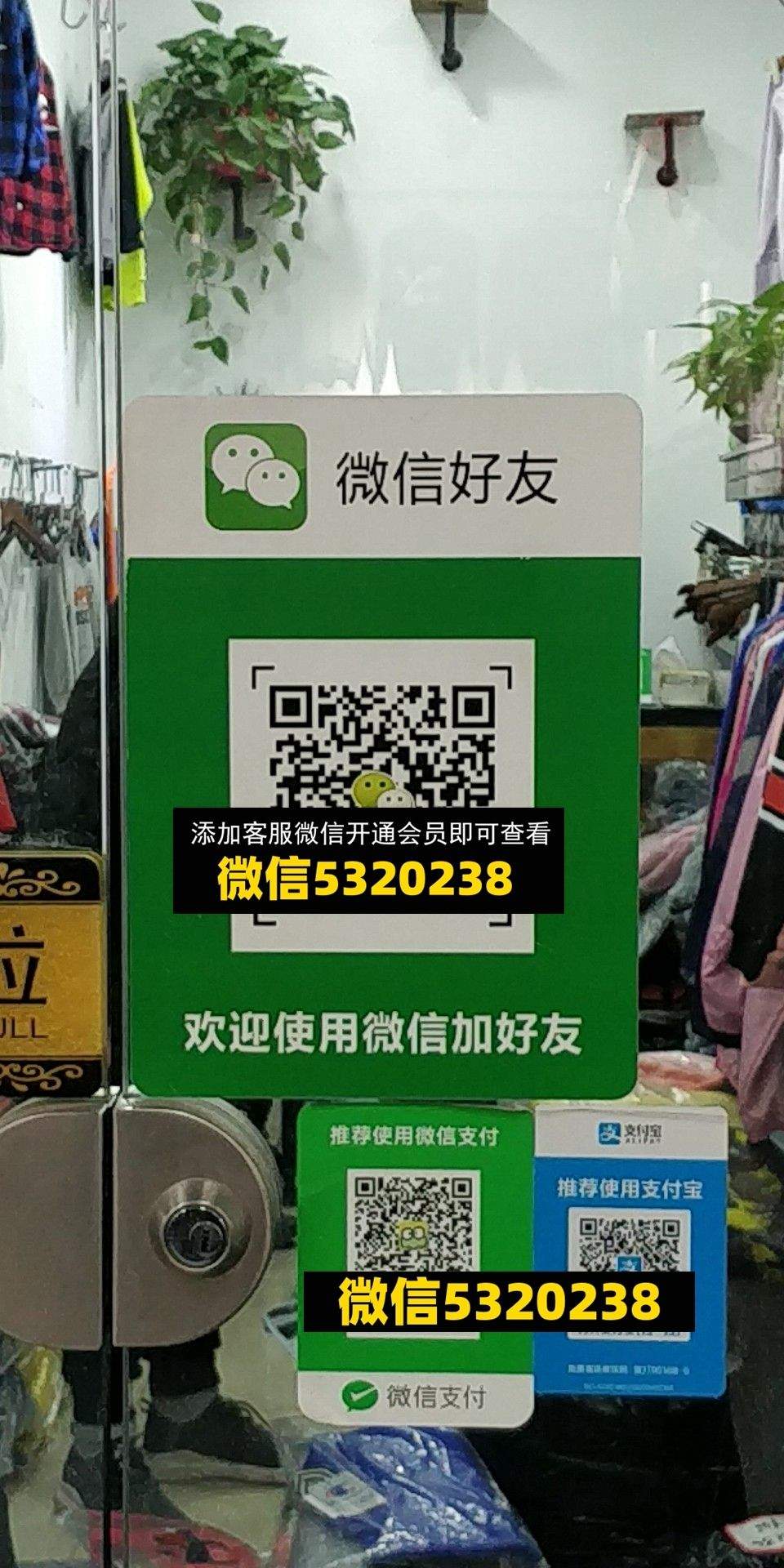 豆豆