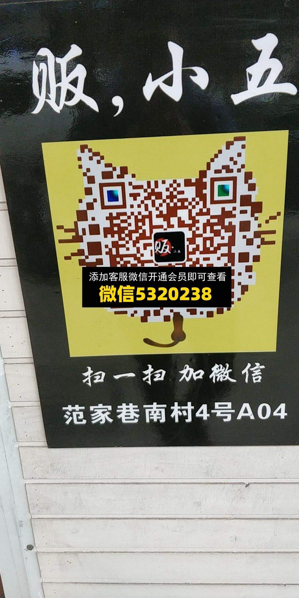 贩小五