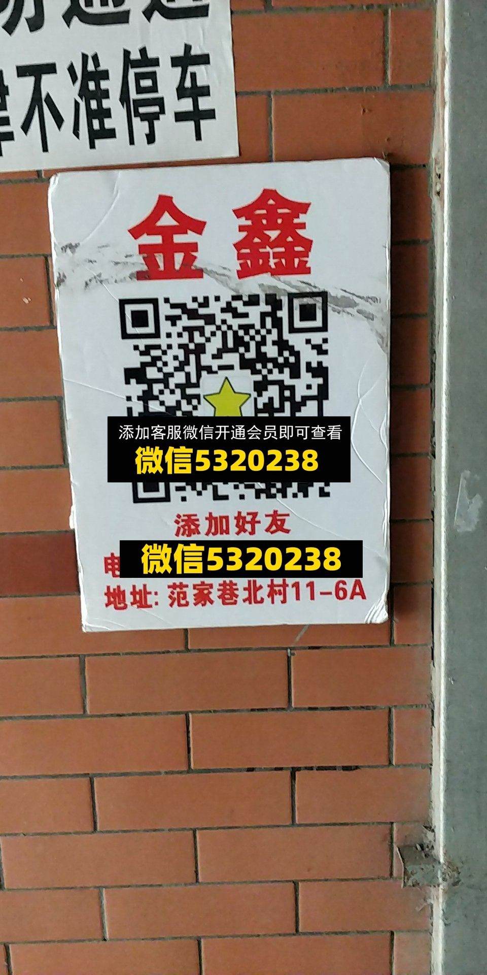 金鑫