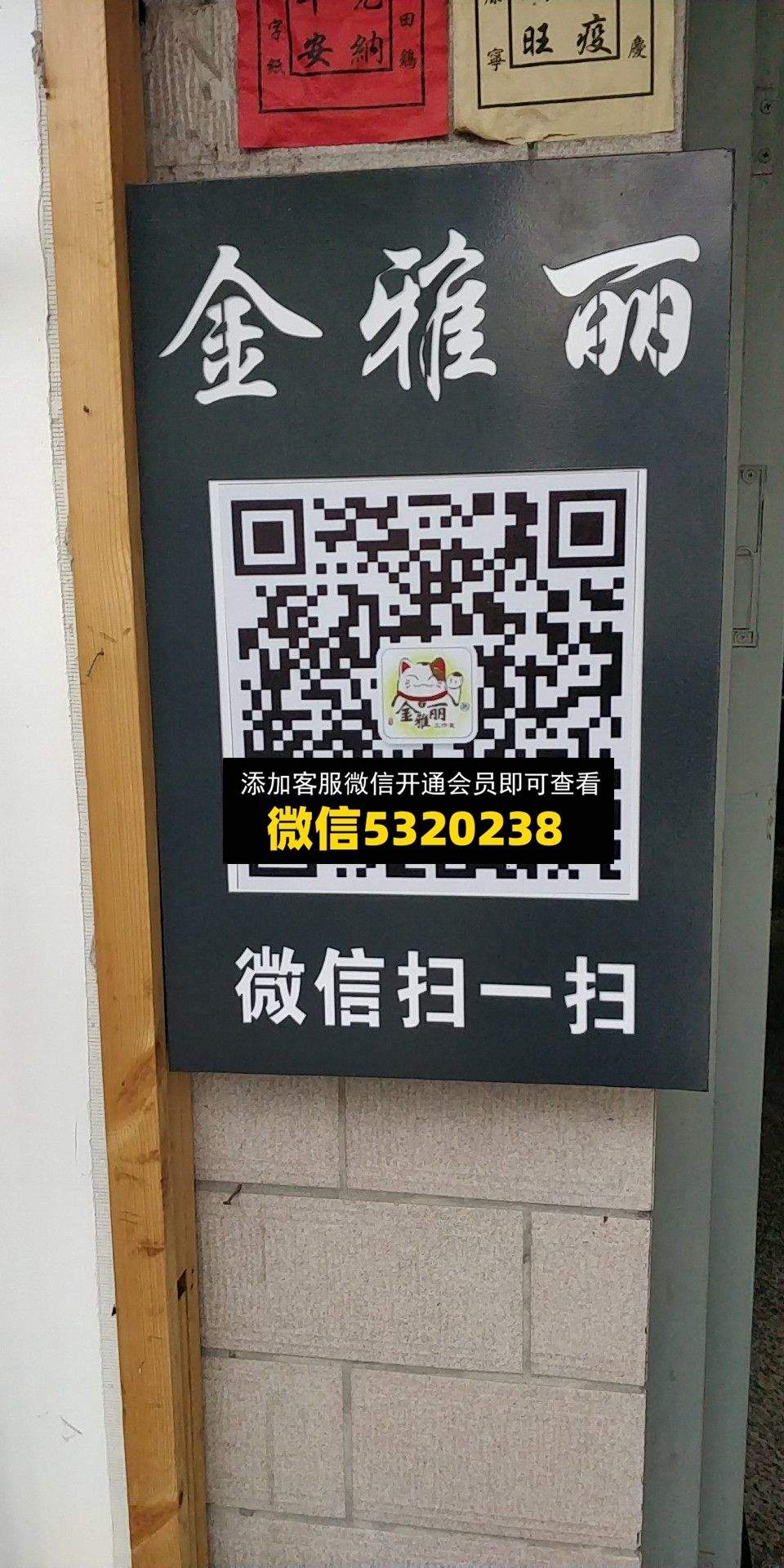 金雅丽