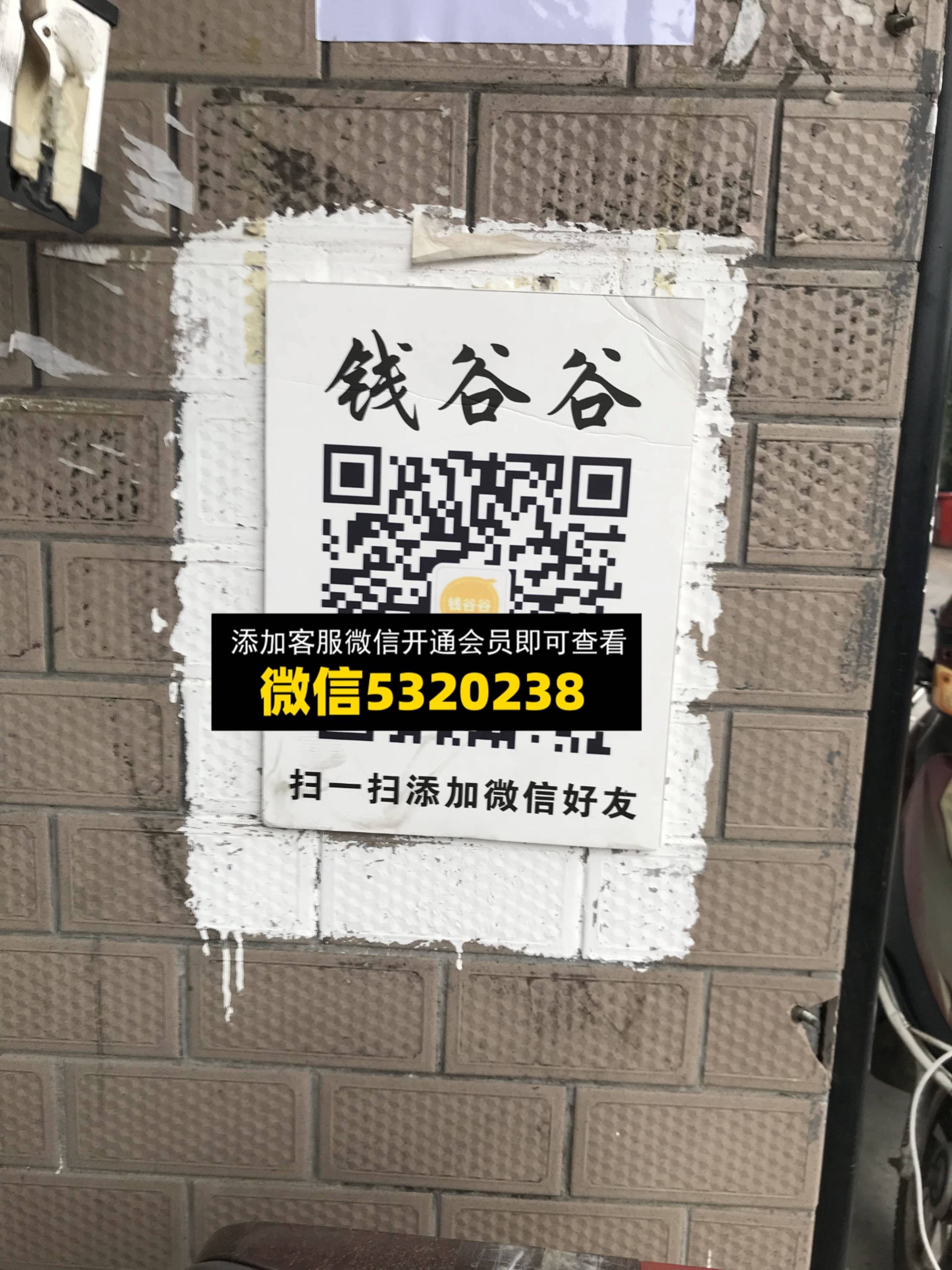 钱谷谷