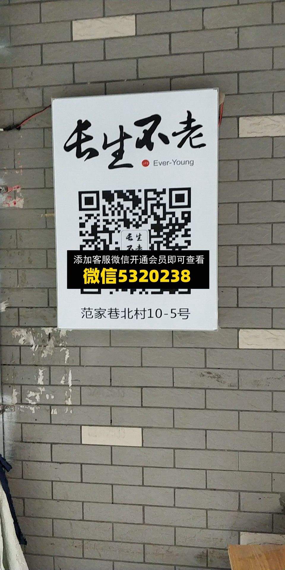 长生不老